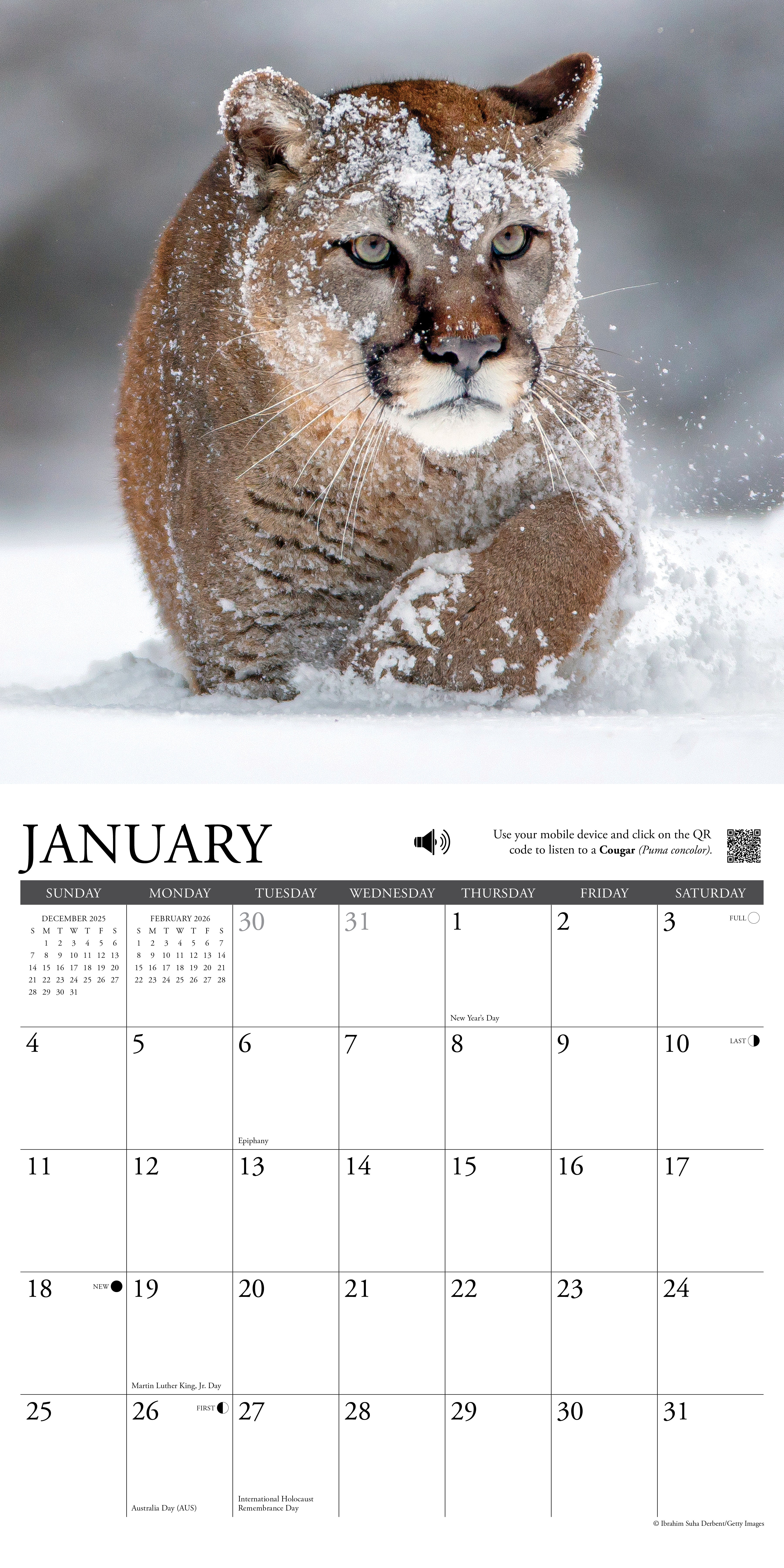 2026 Call of the Wild - Square Wall Calendar