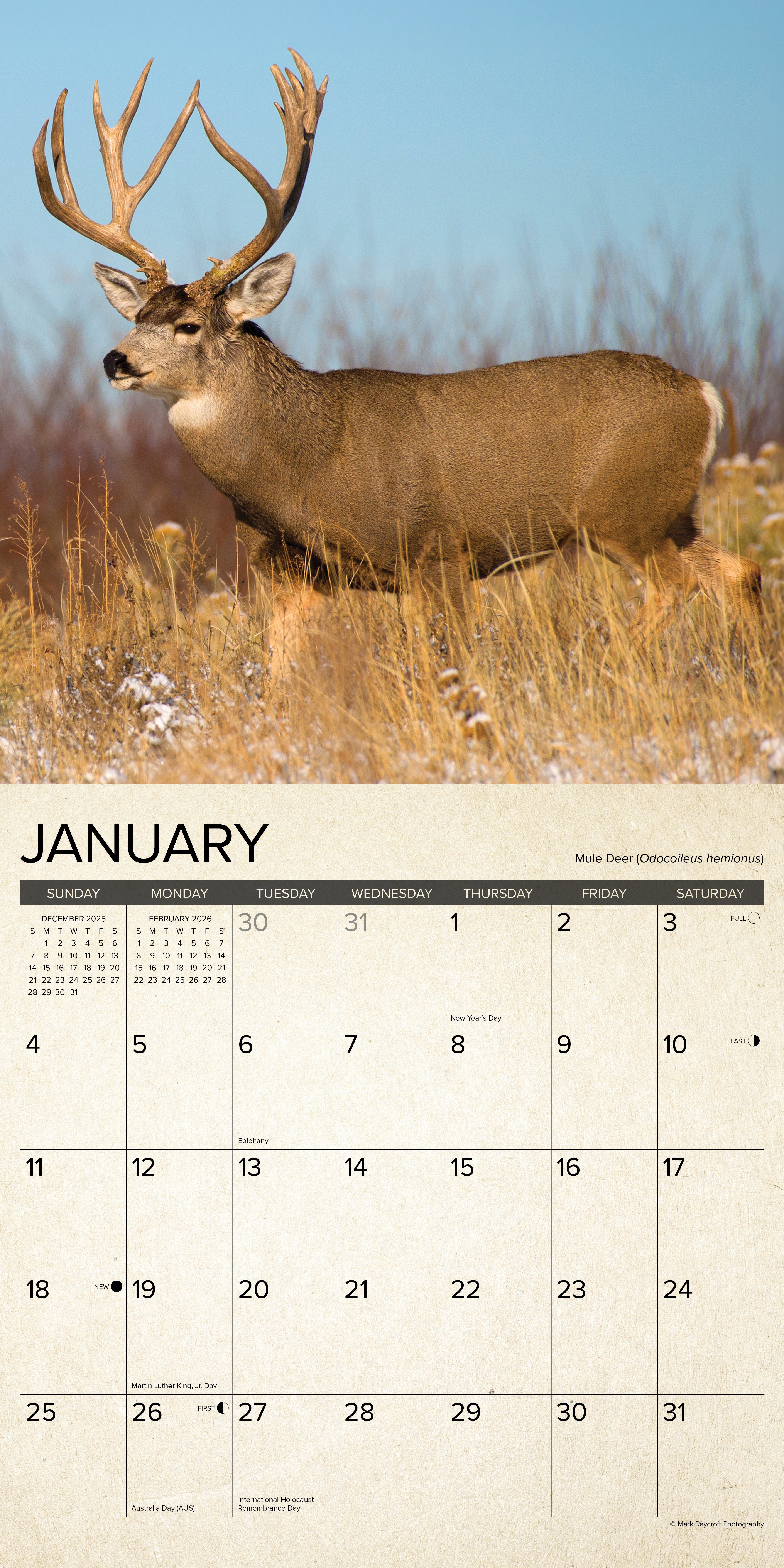 2026 Canadian Fish & Wild Game - Square Wall Calendar