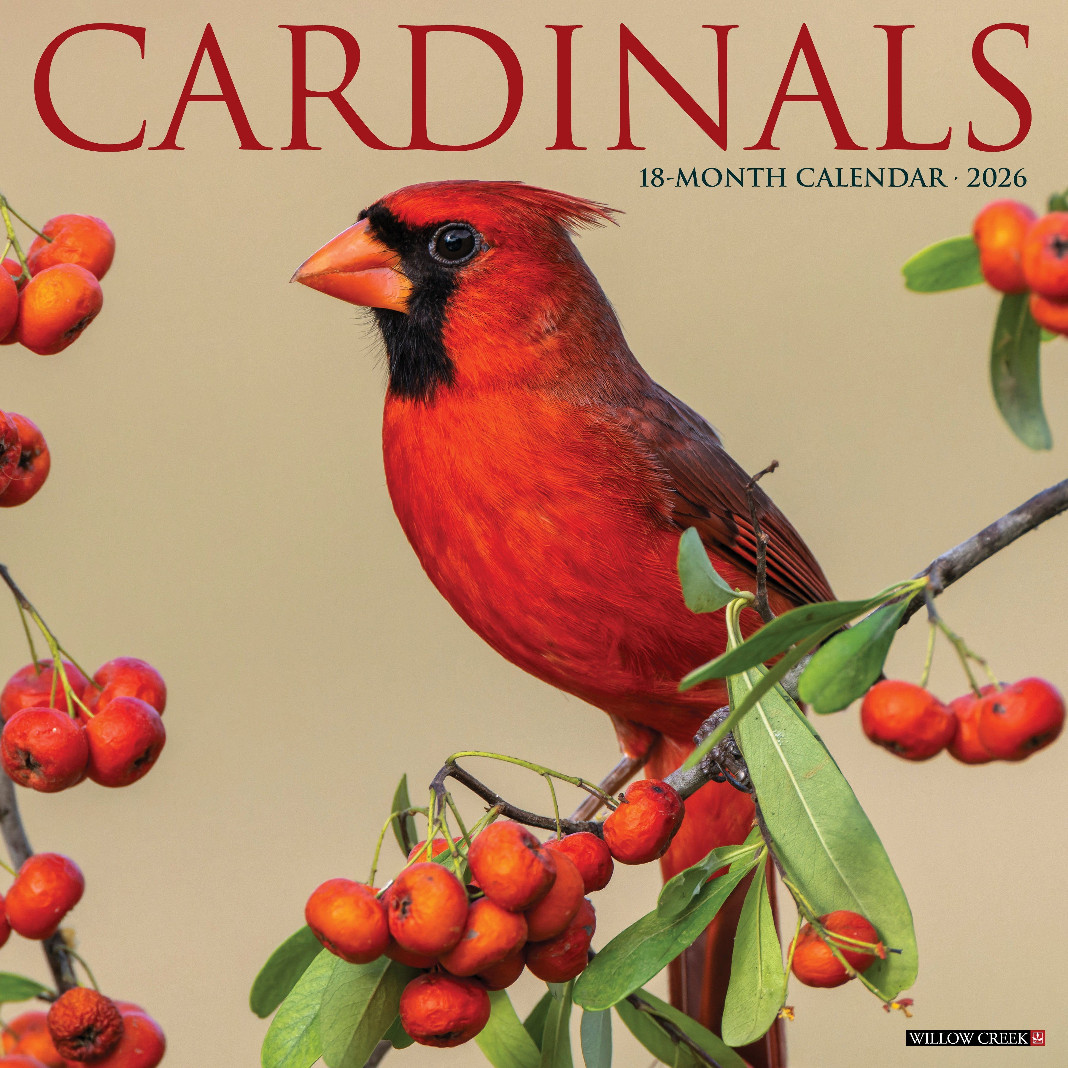 2026 Cardinals - Square Wall Calendar