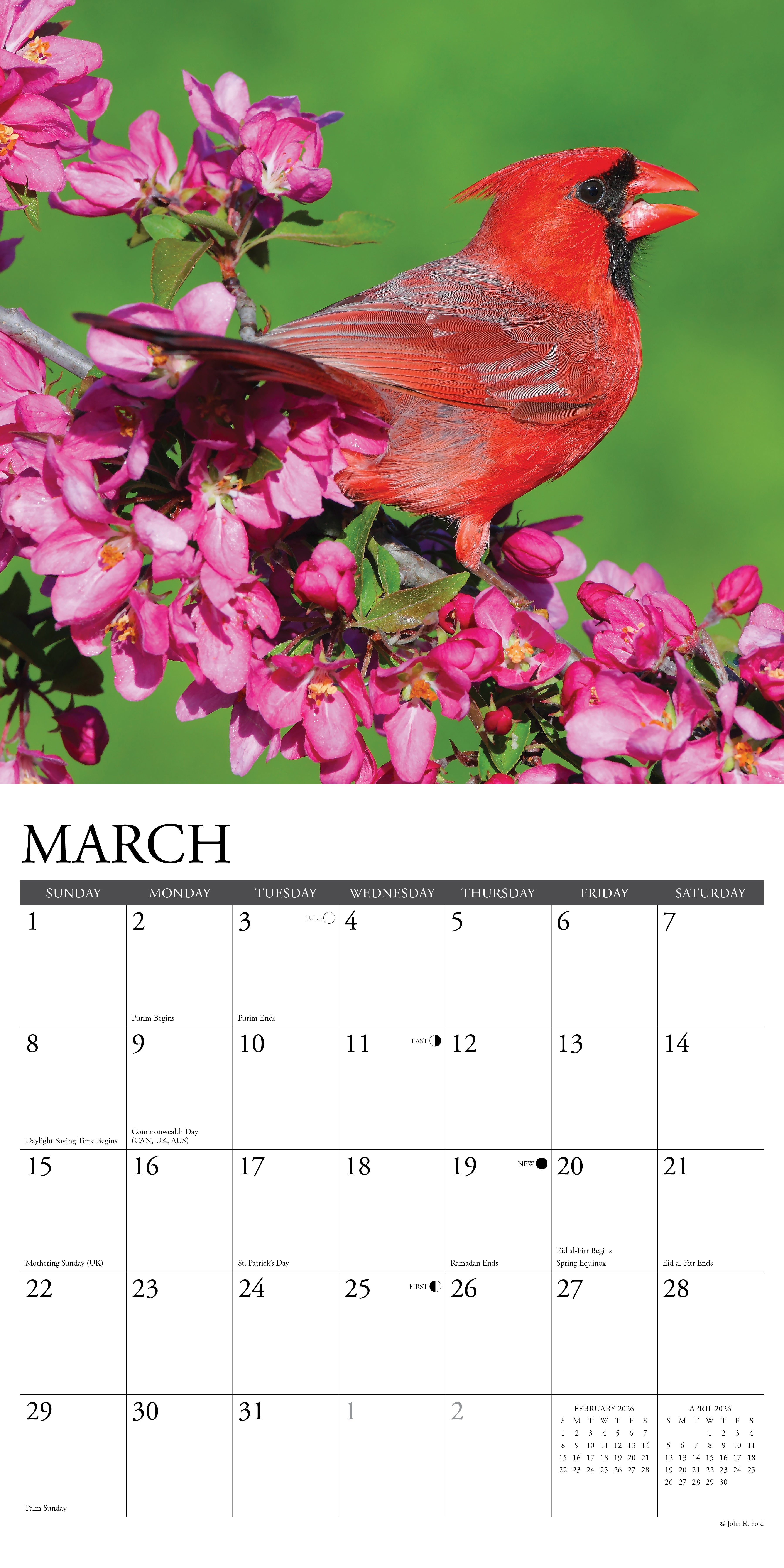 2026 Cardinals - Square Wall Calendar