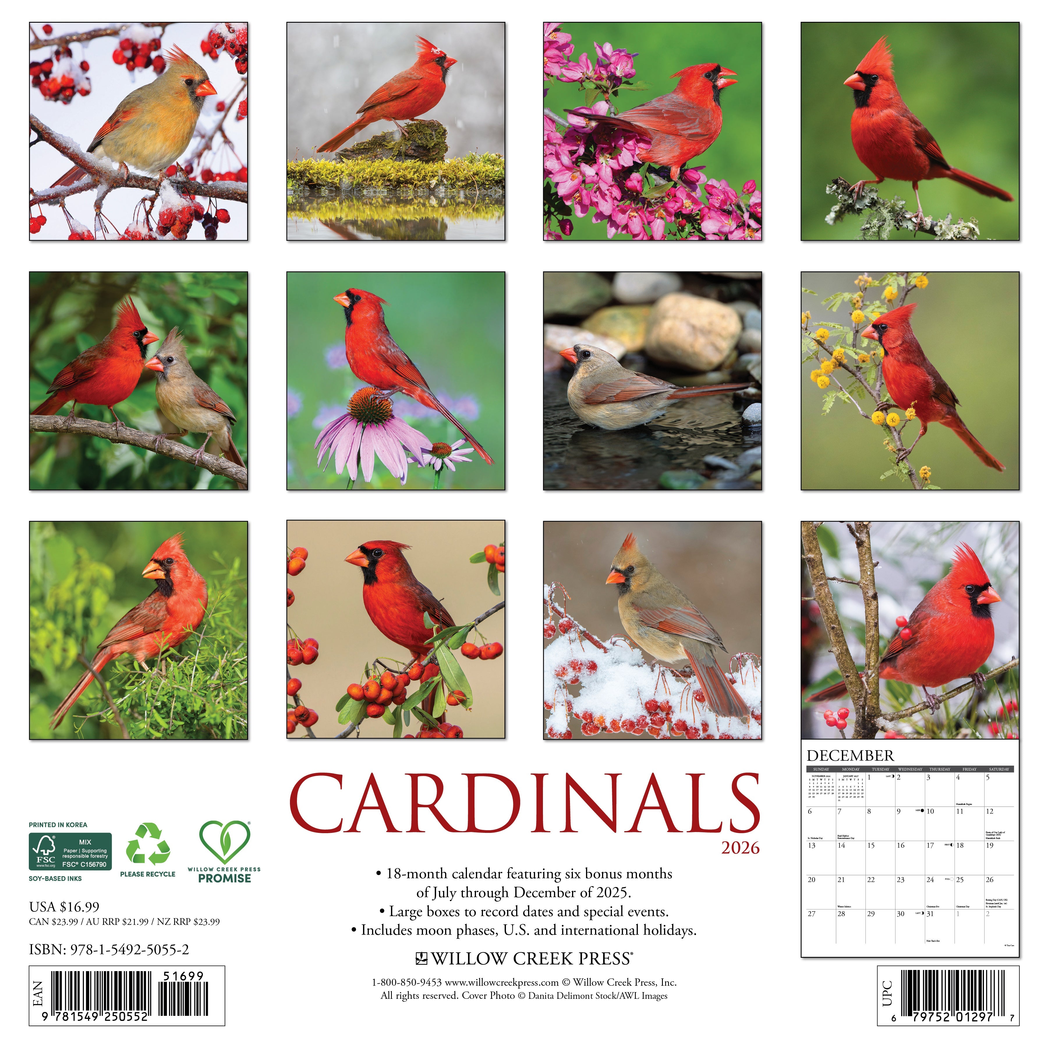 2026 Cardinals - Square Wall Calendar