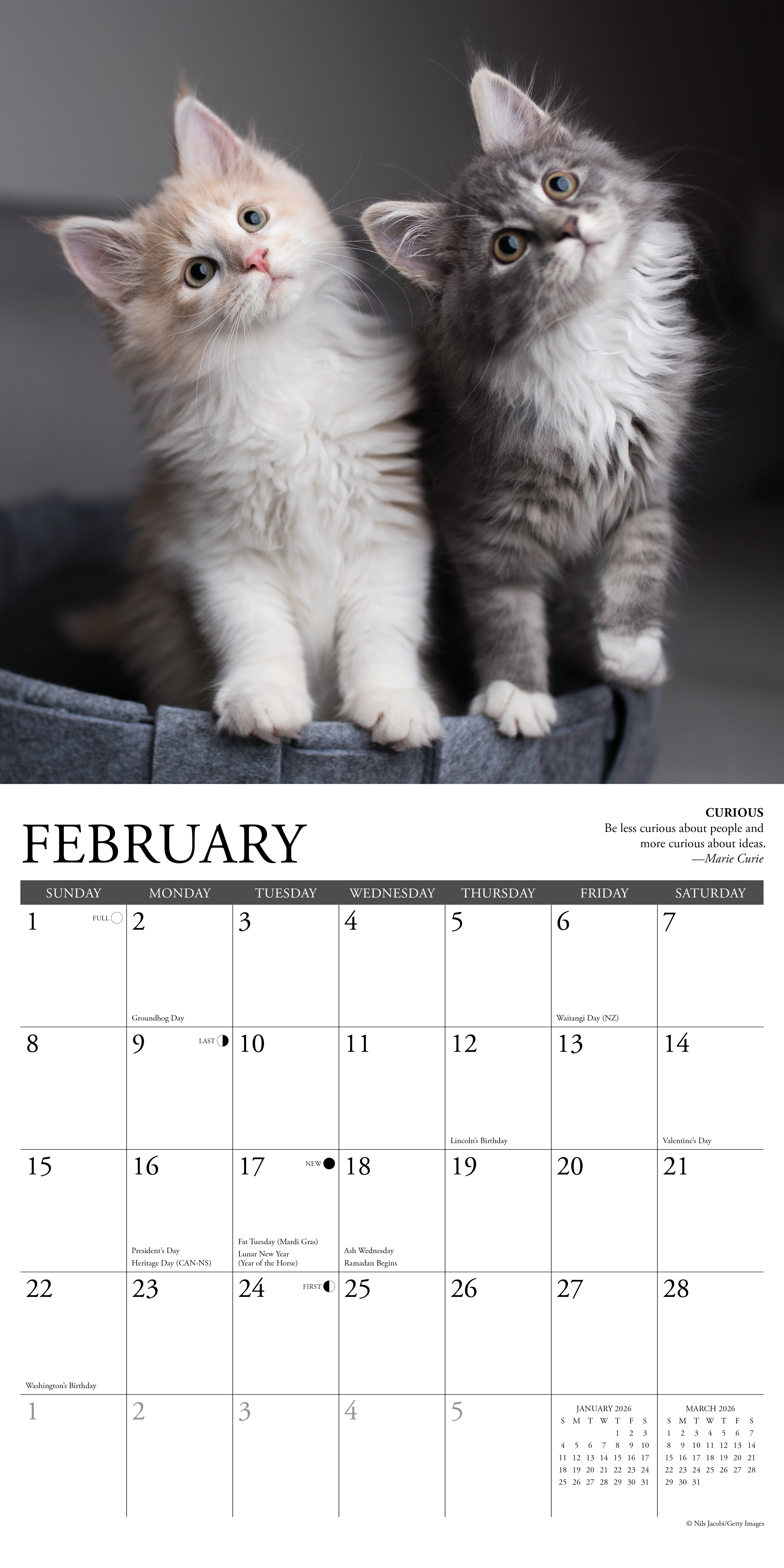 2026 Cat Rules - Square Wall Calendar