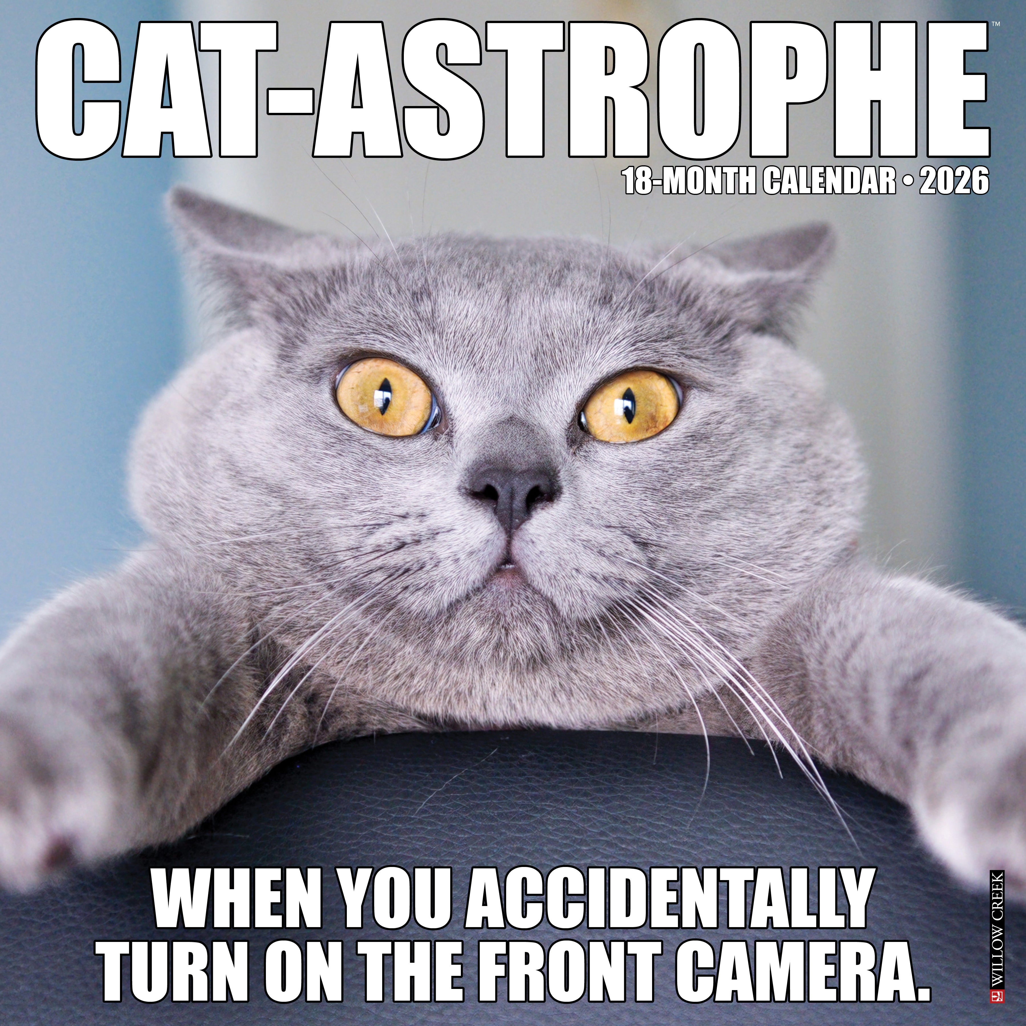 2026 Cat-astrophe - Square Wall Calendar