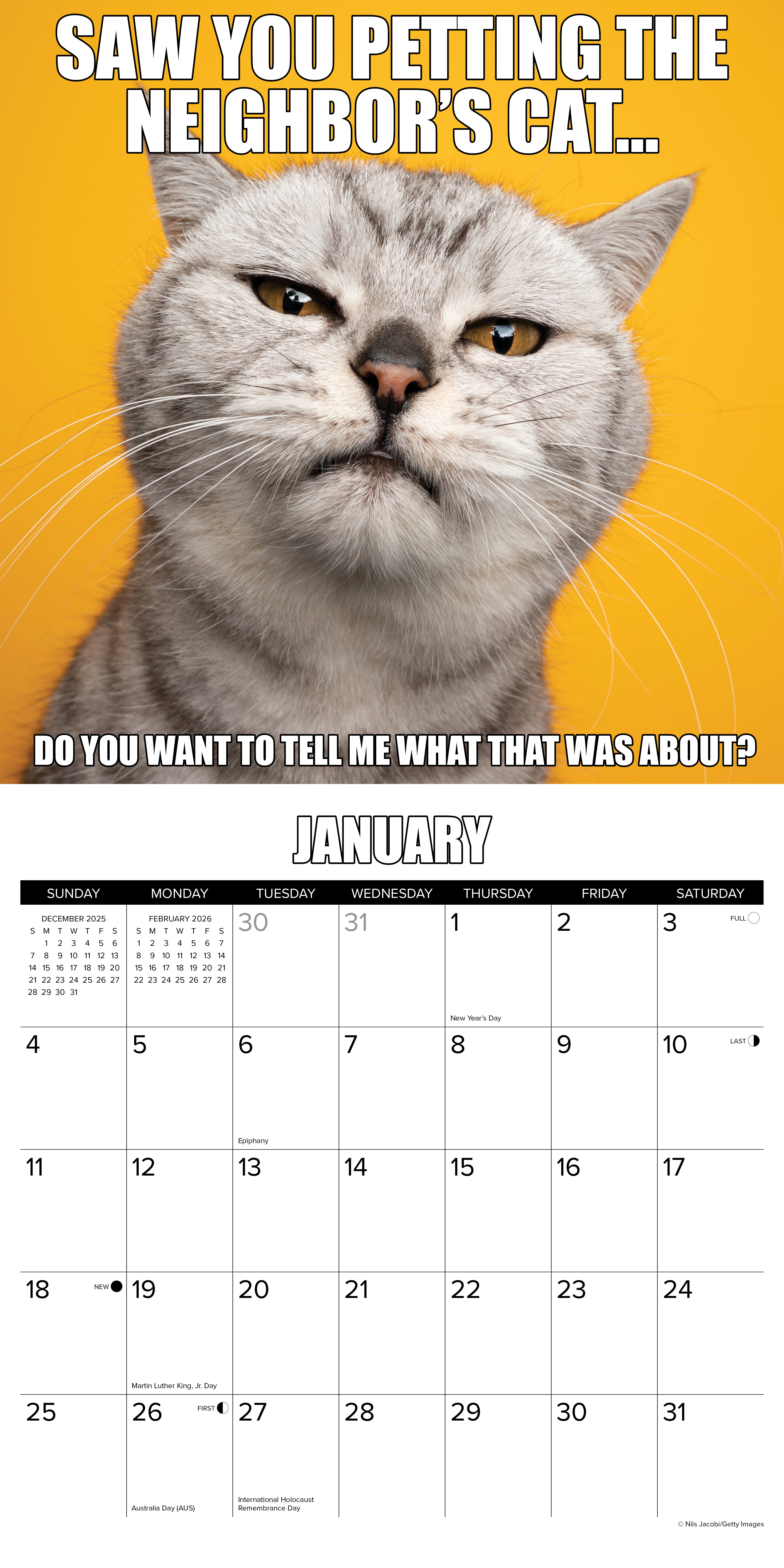 2026 Cat-astrophe - Square Wall Calendar