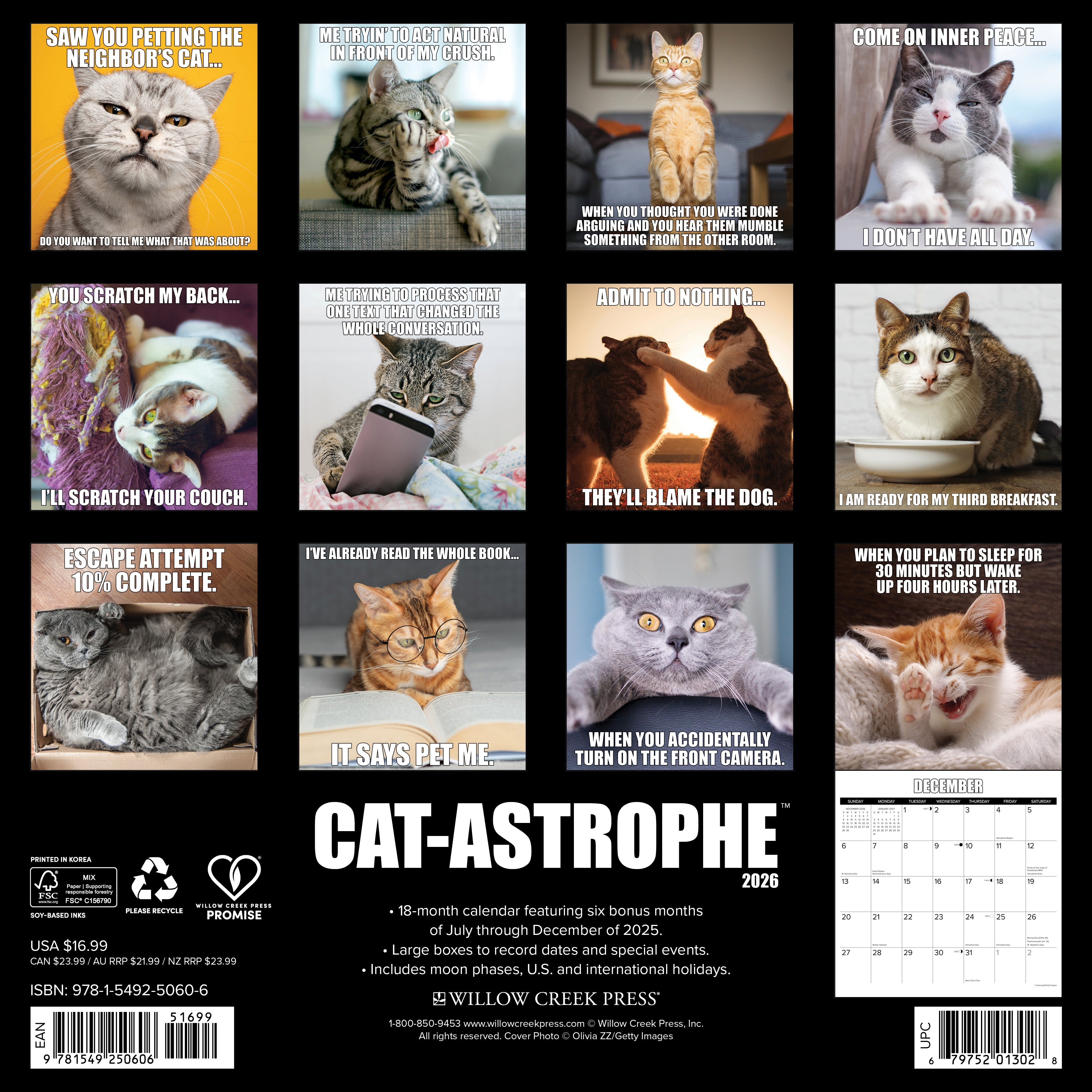 2026 Cat-astrophe - Square Wall Calendar