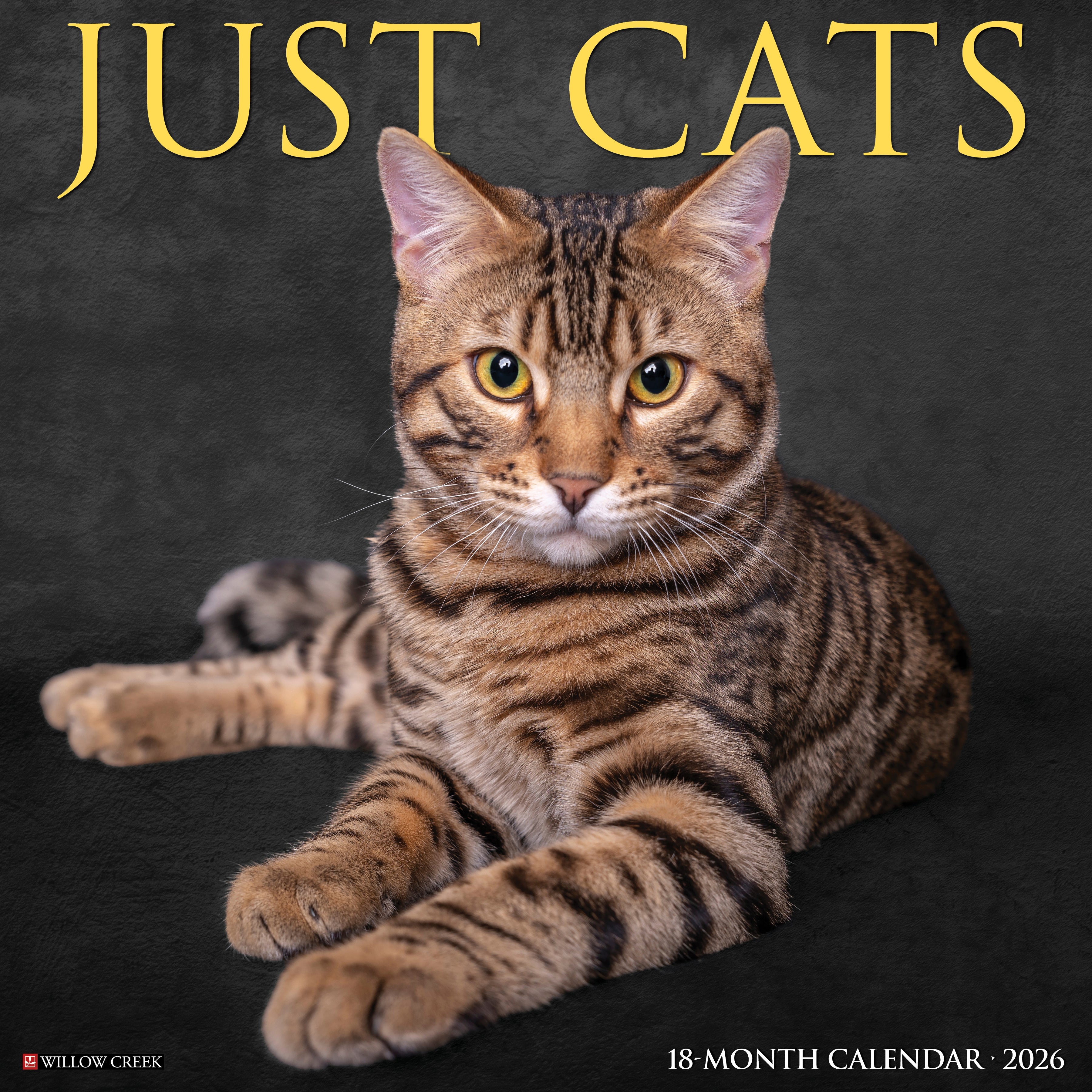 2026 Cats - Square Wall Calendar