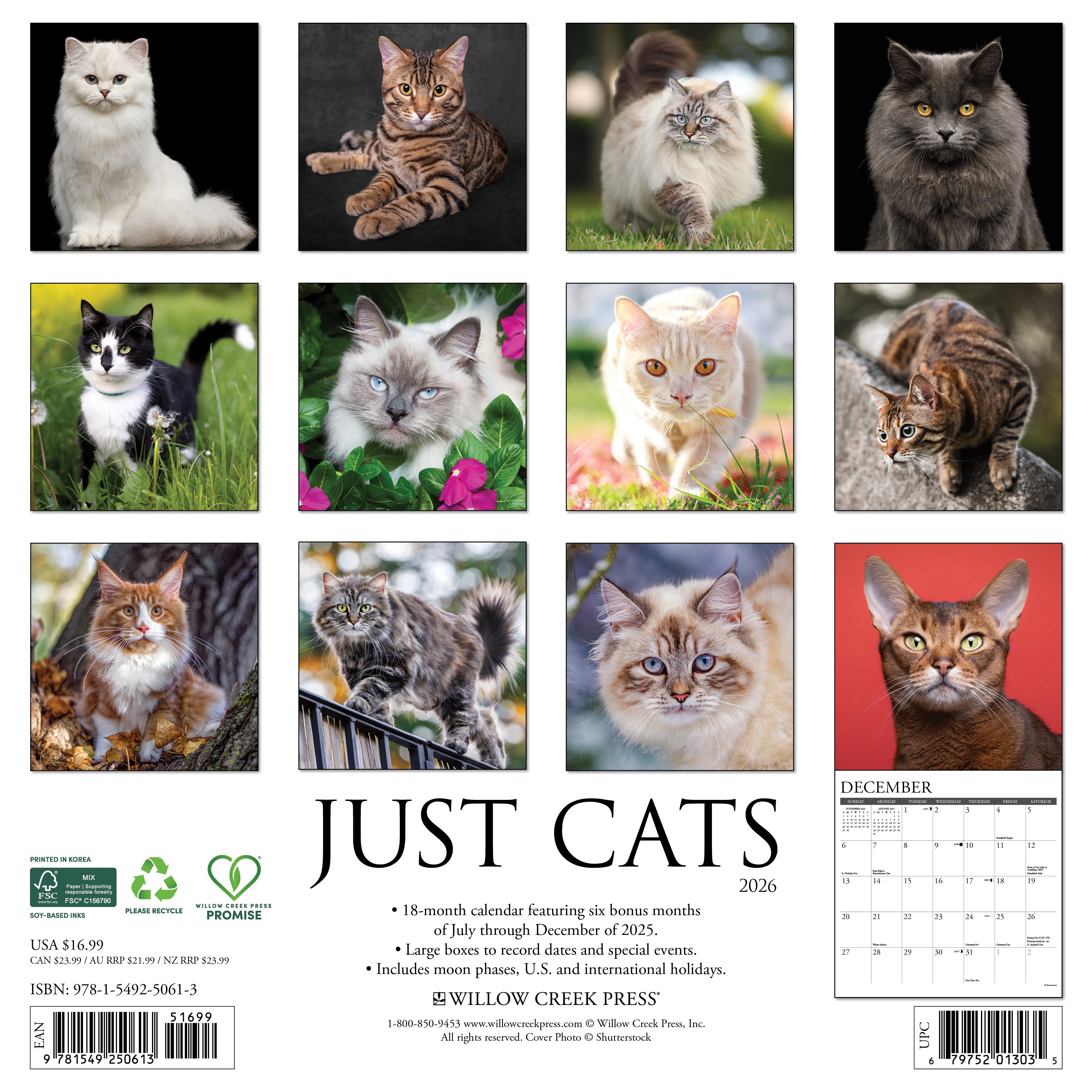 2026 Cats - Square Wall Calendar