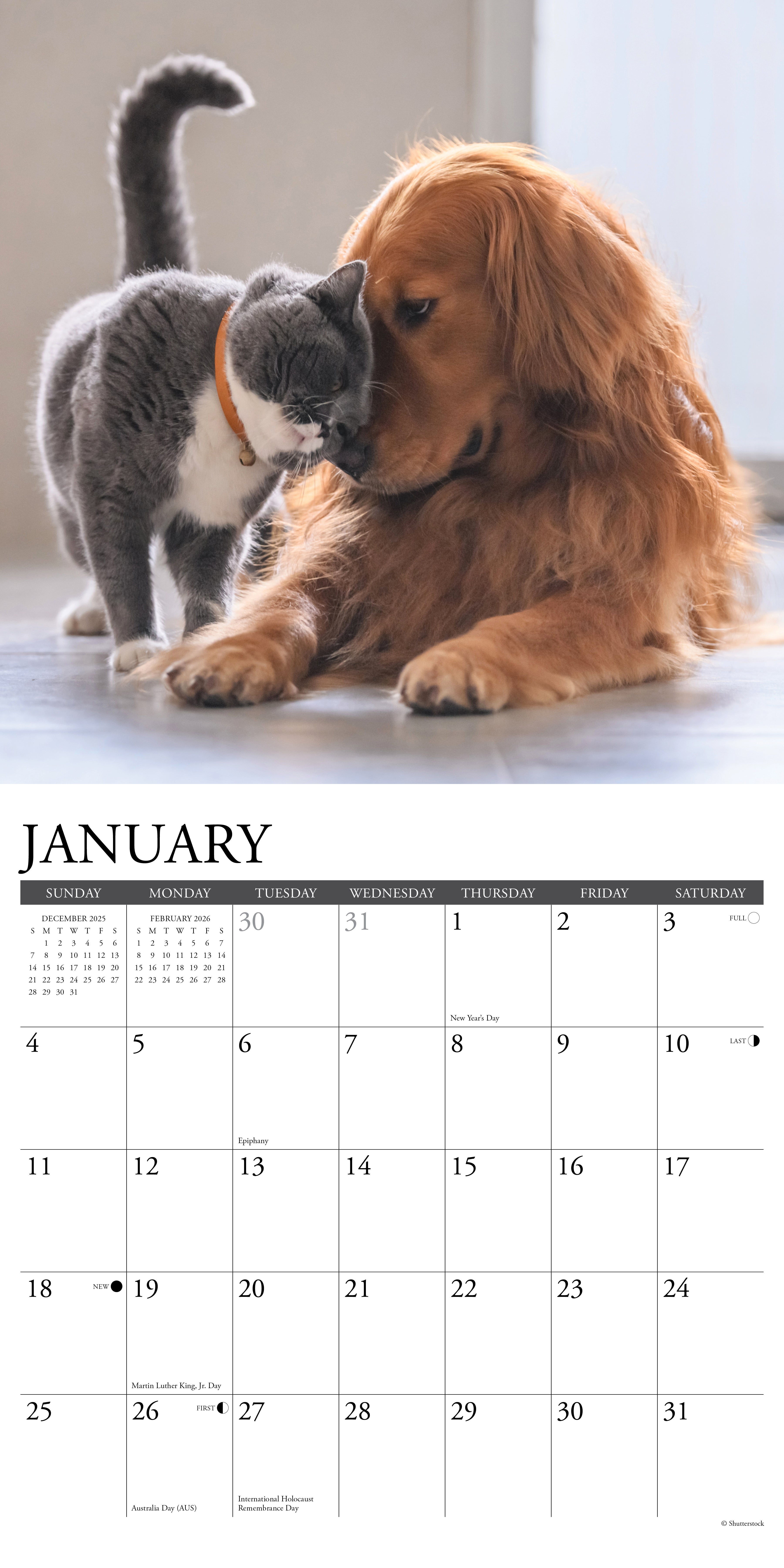 2026 Cats & Dogs - Square Wall Calendar