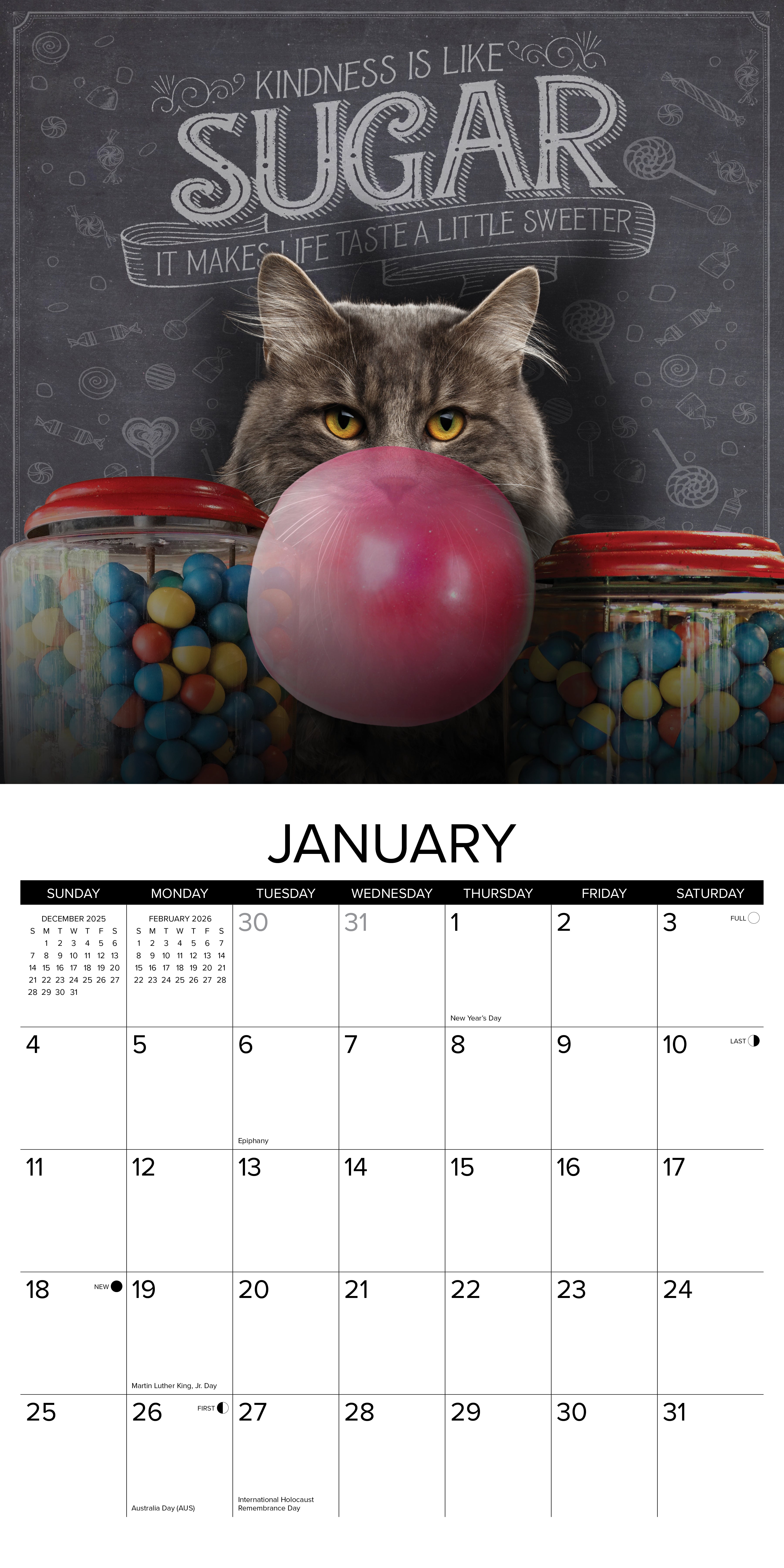 2026 Catspirations - Square Wall Calendar