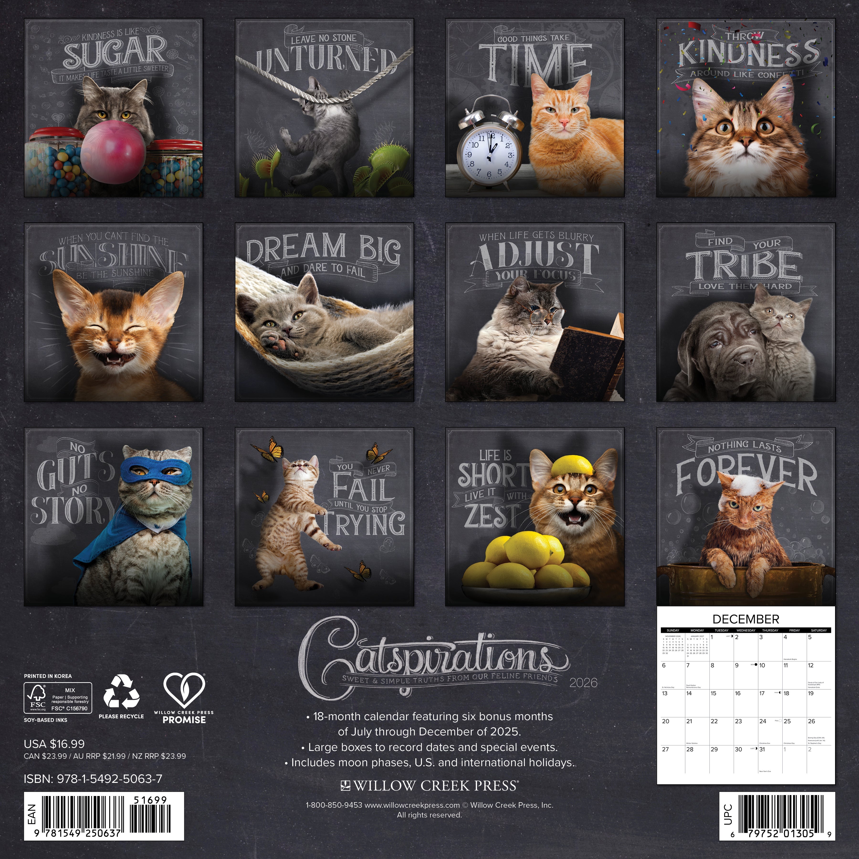 2026 Catspirations - Square Wall Calendar