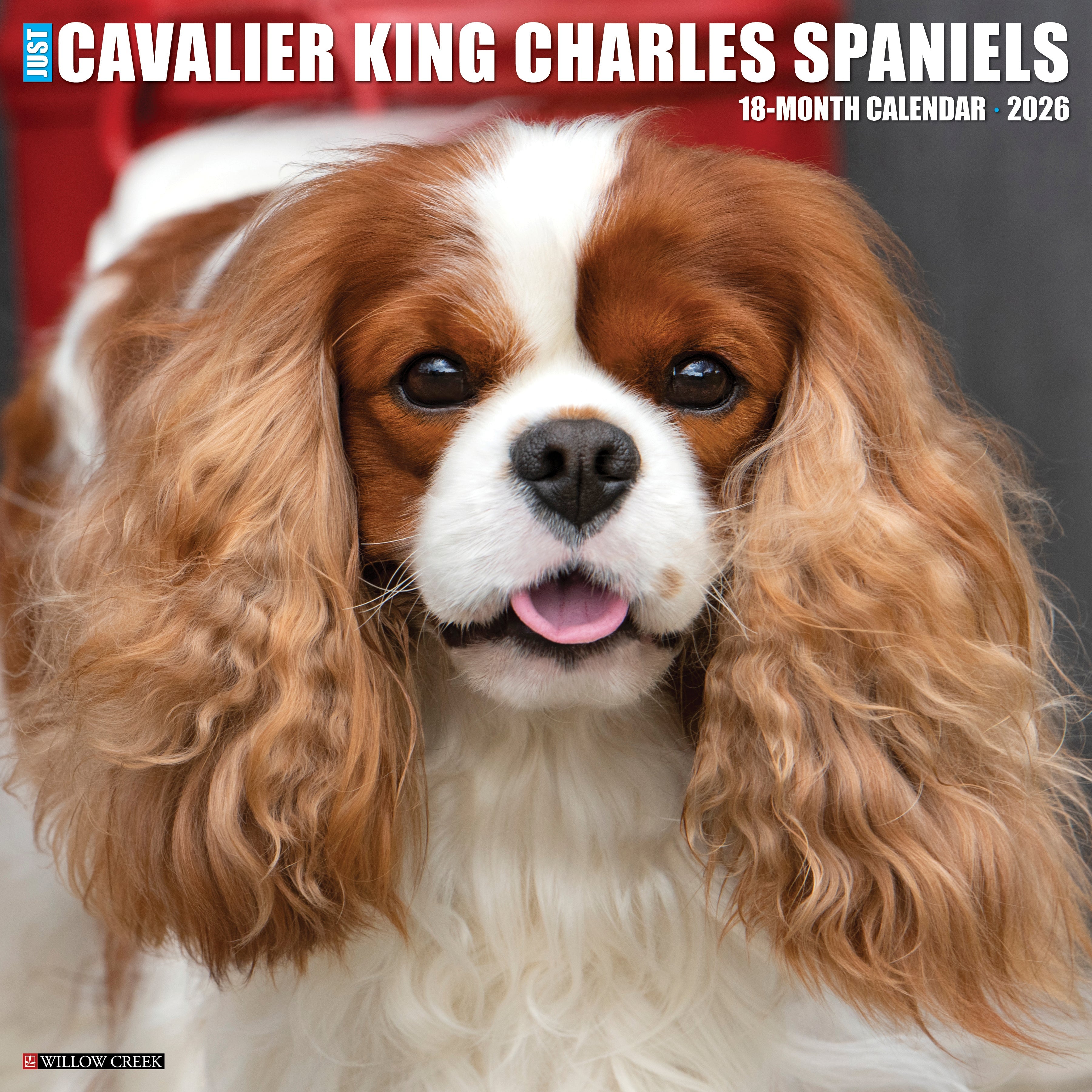 2026 Cavalier King Charles Spaniels - Square Wall Calendar