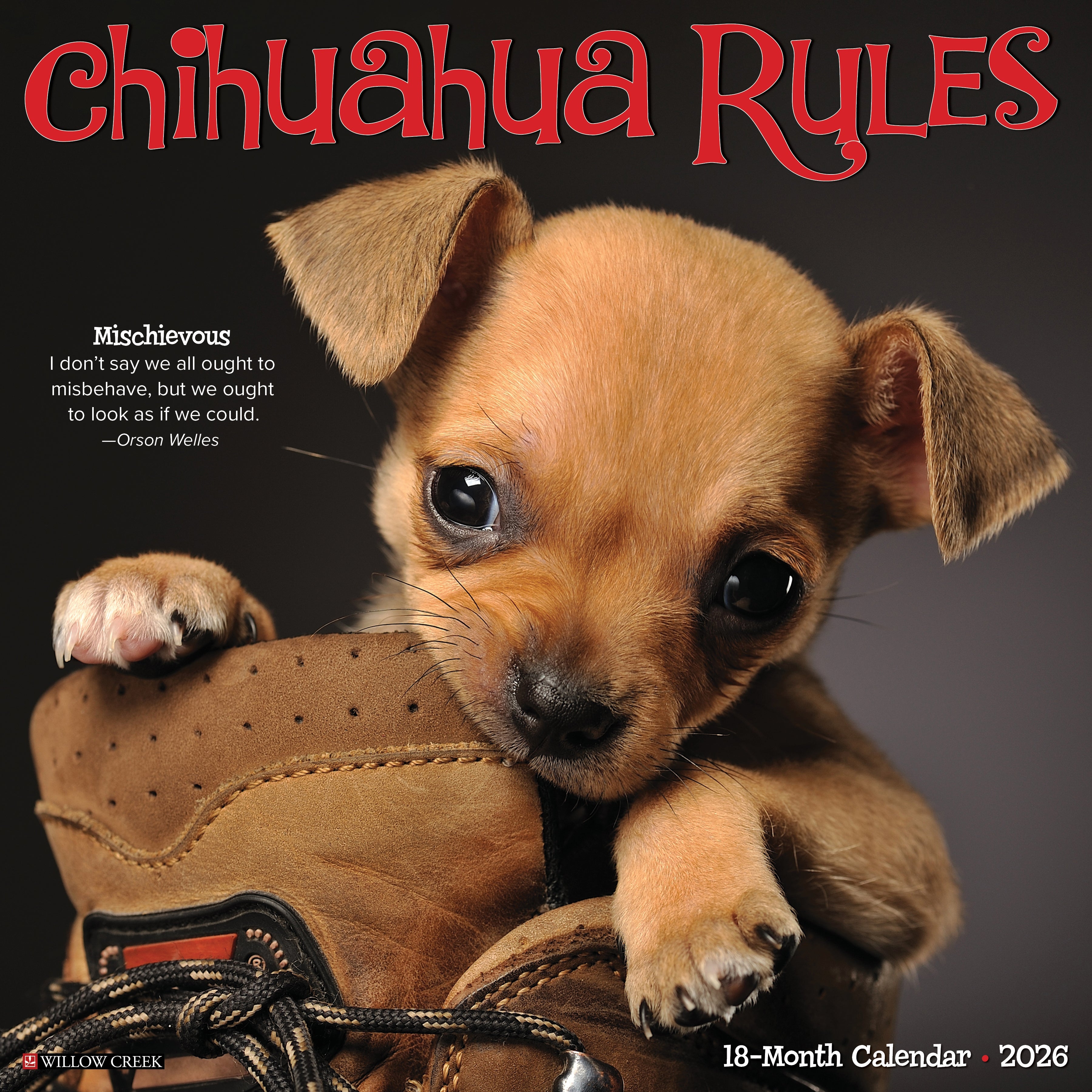 2026 Chihuahua Rules - Square Wall Calendar