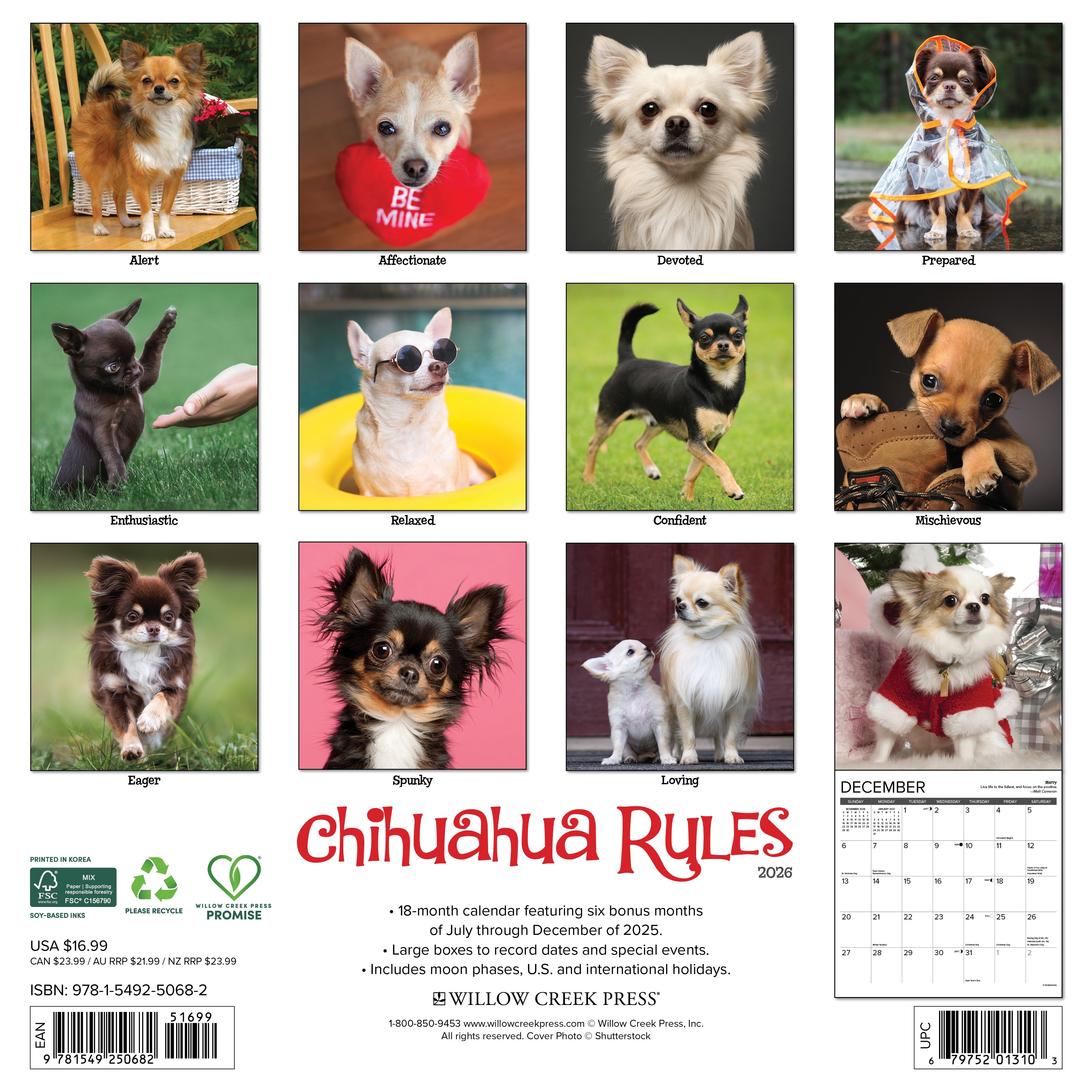2026 Chihuahua Rules - Square Wall Calendar