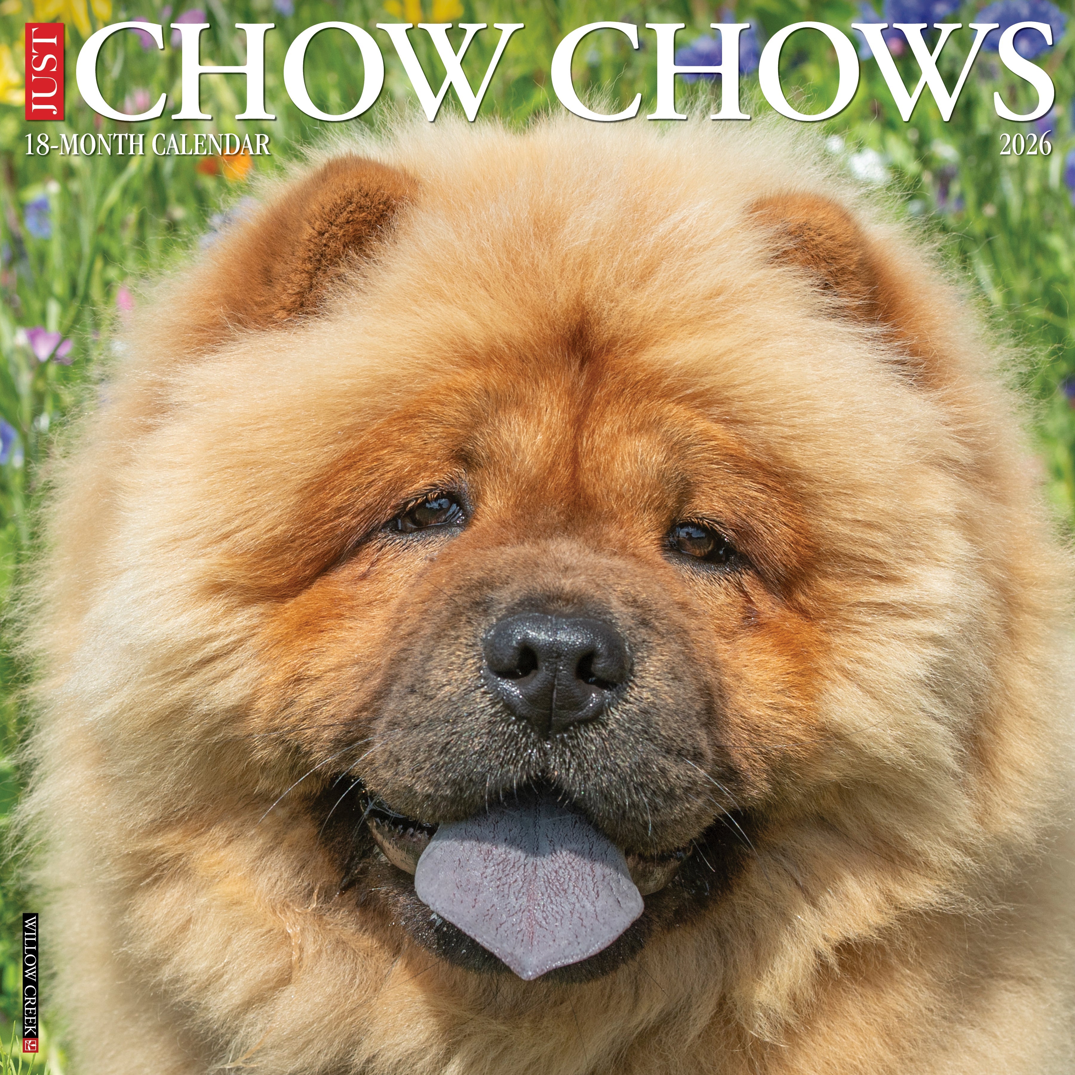 2026 Chow Chows - Square Wall Calendar