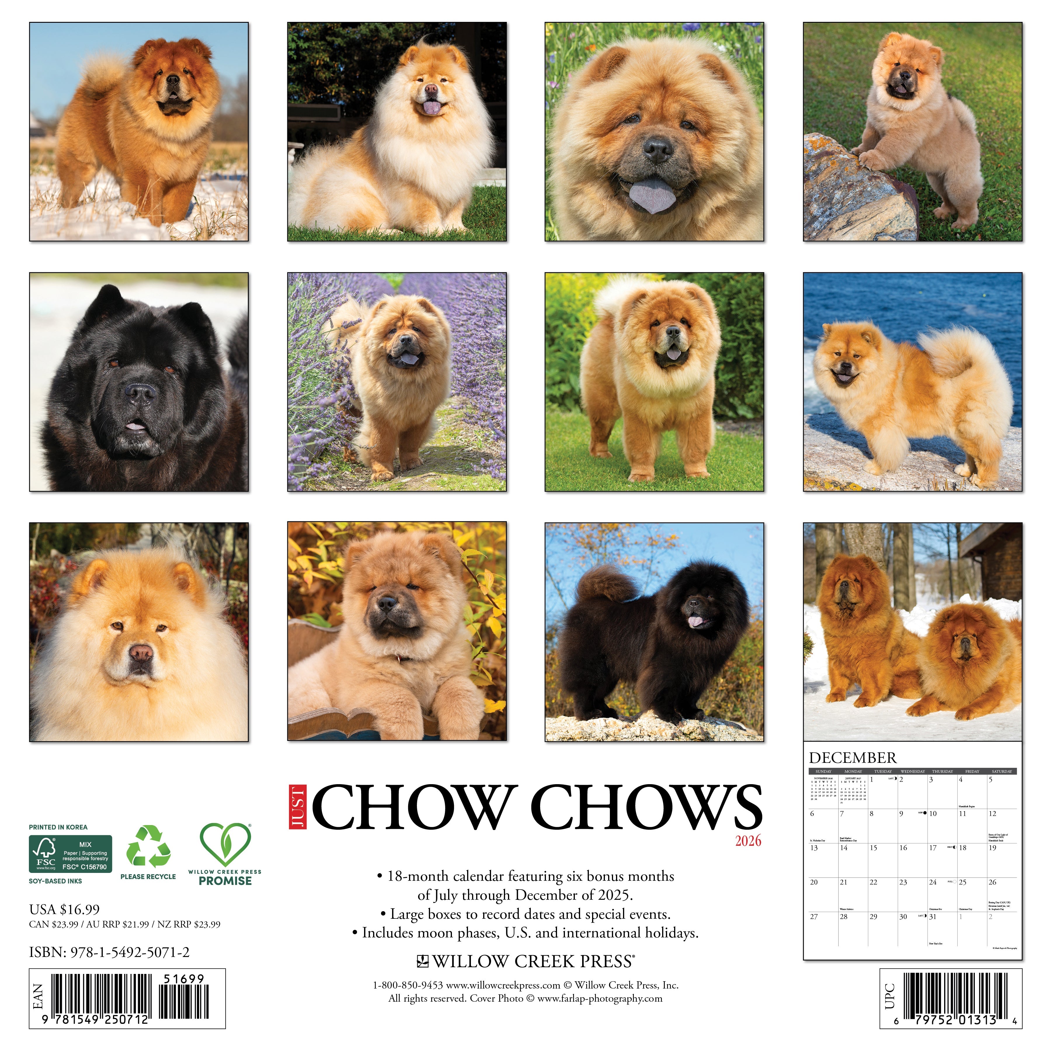 2026 Chow Chows - Square Wall Calendar