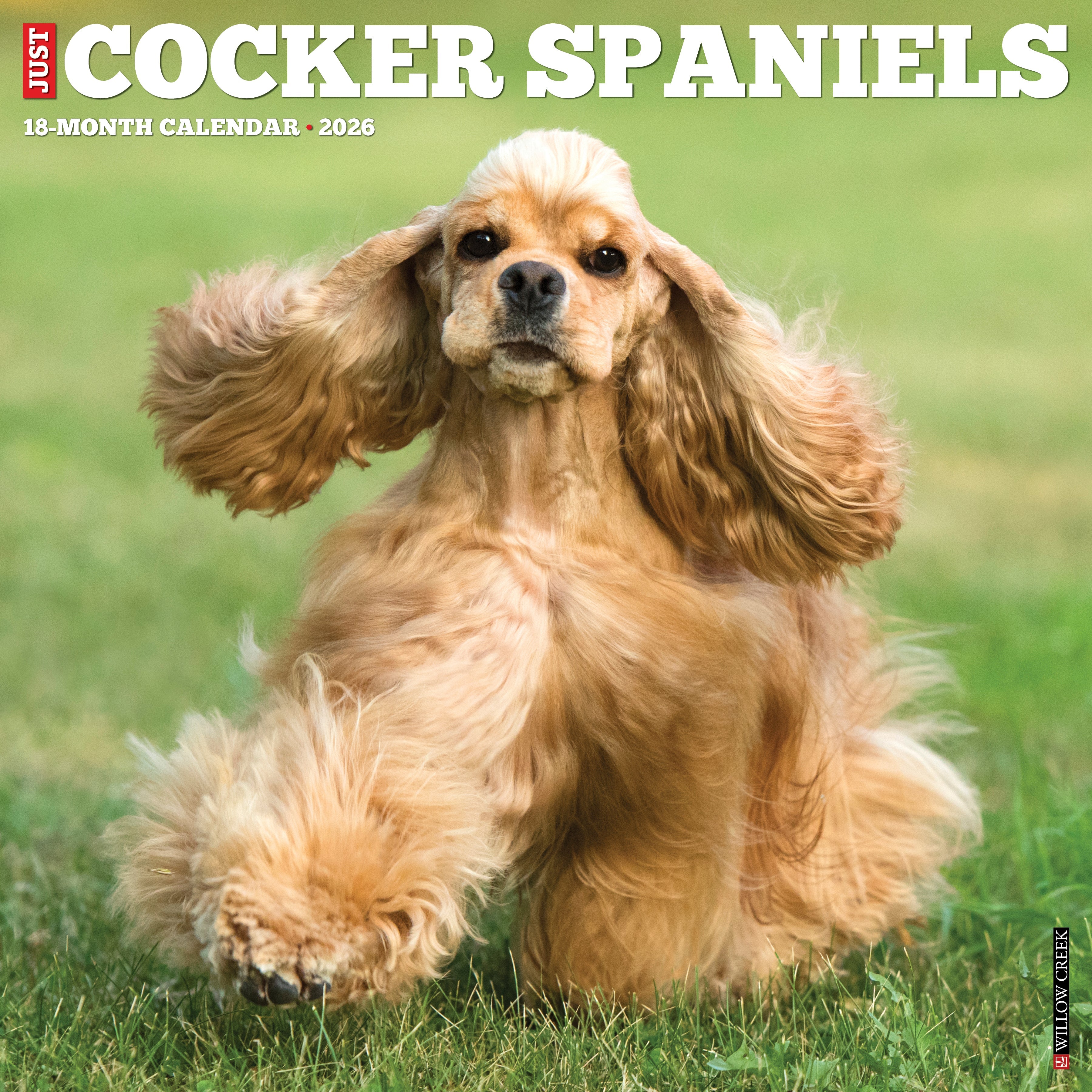 2026 Cocker Spaniels - Square Wall Calendar