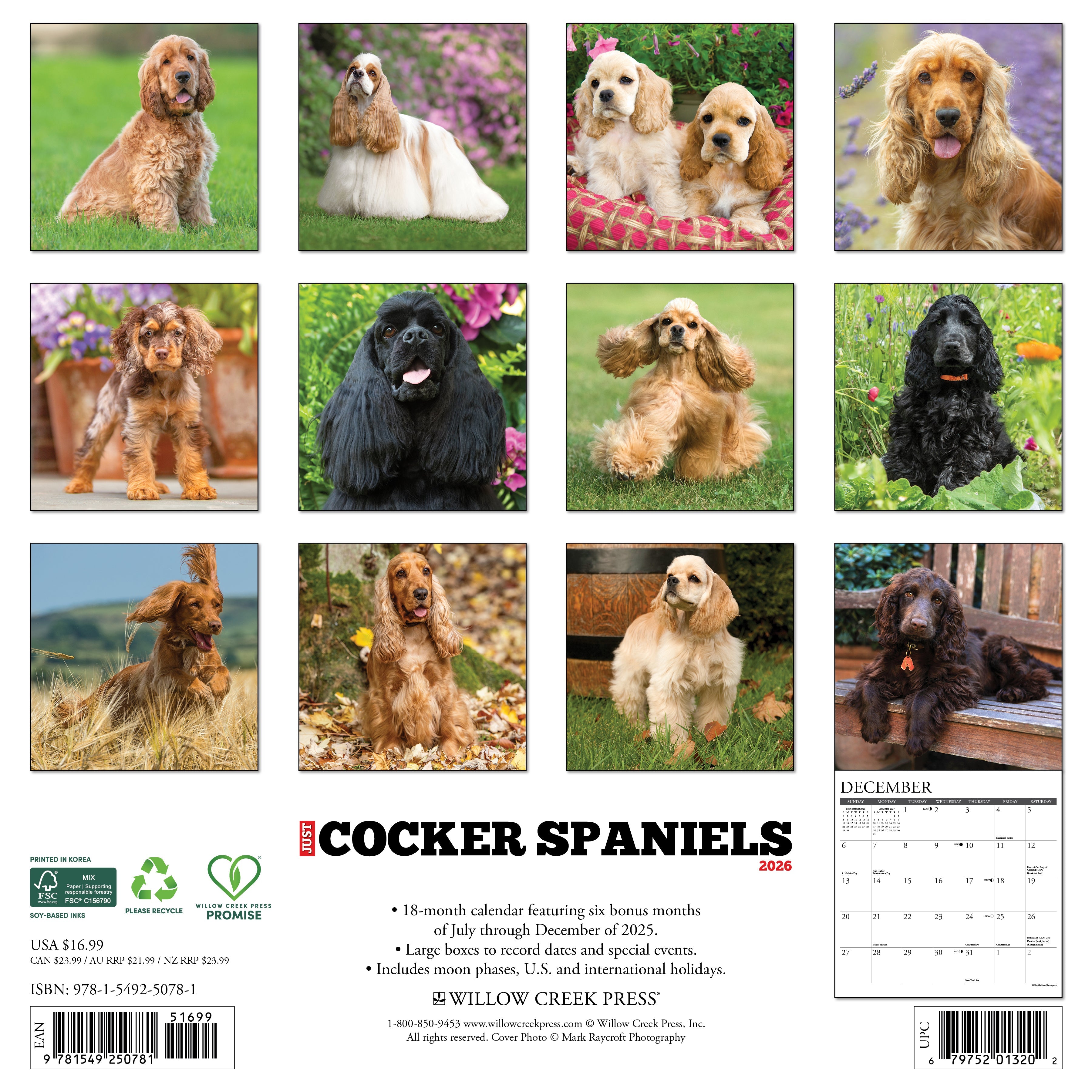 2026 Cocker Spaniels - Square Wall Calendar