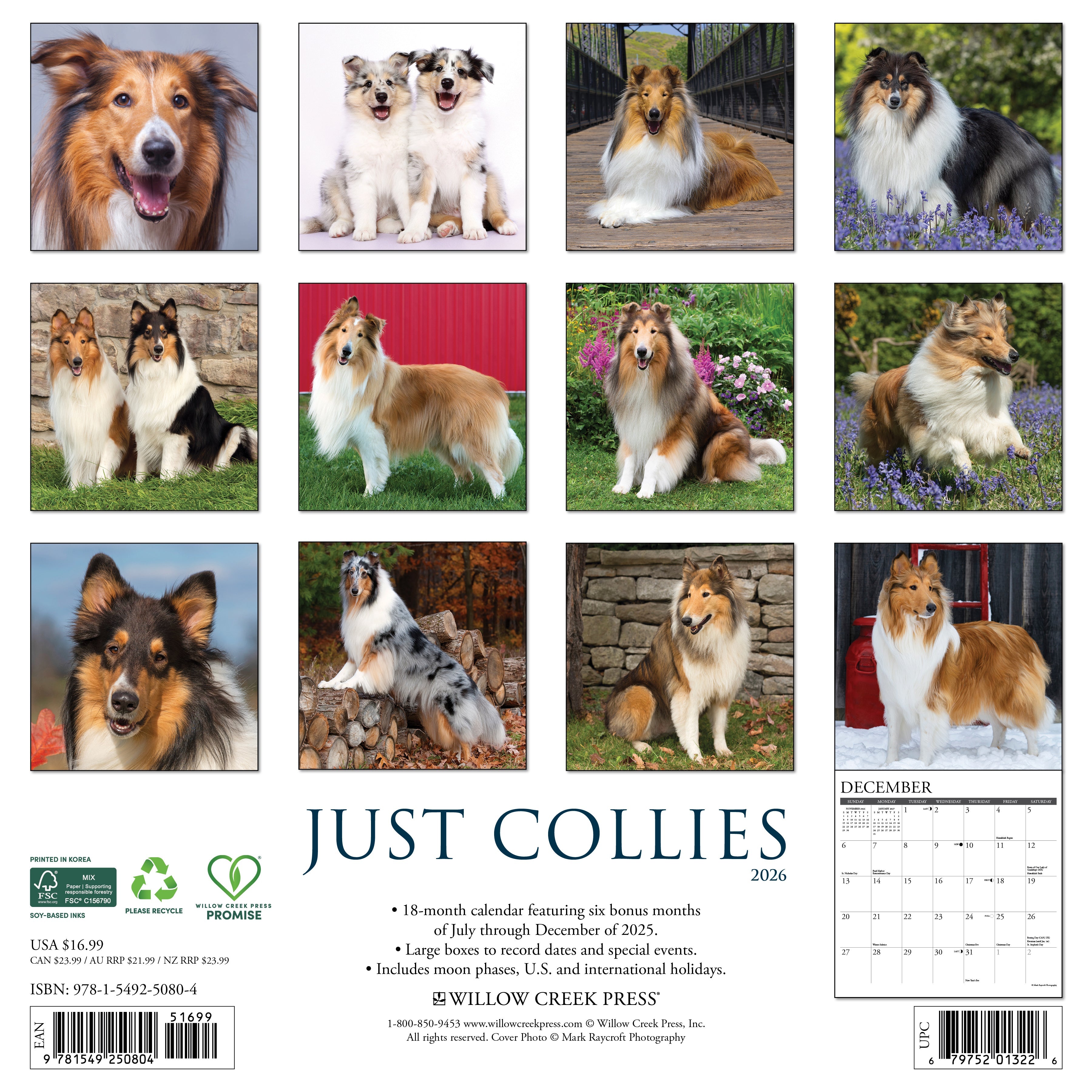 2026 Collies - Square Wall Calendar