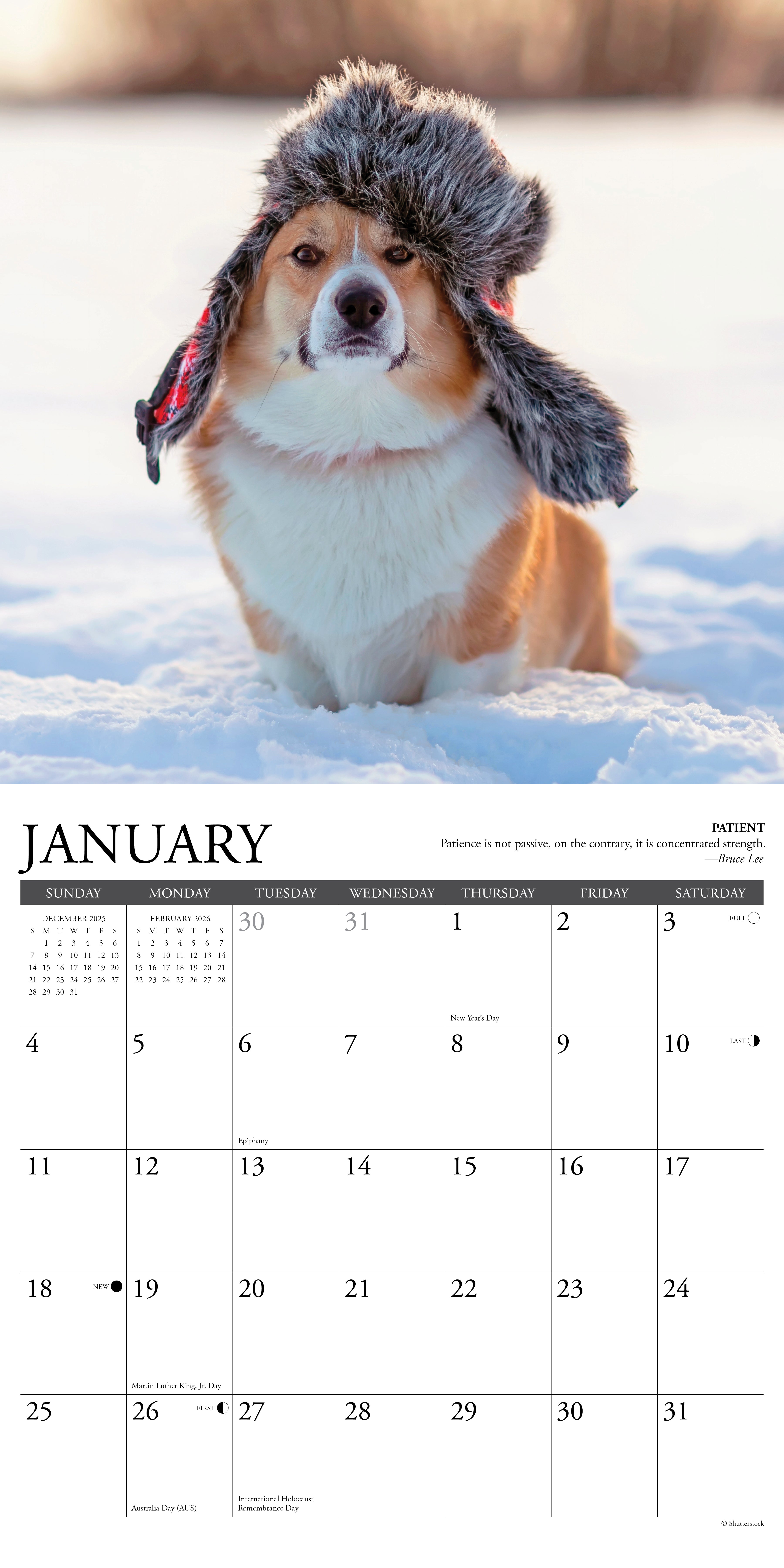 2026 Corgi Rules - Square Wall Calendar