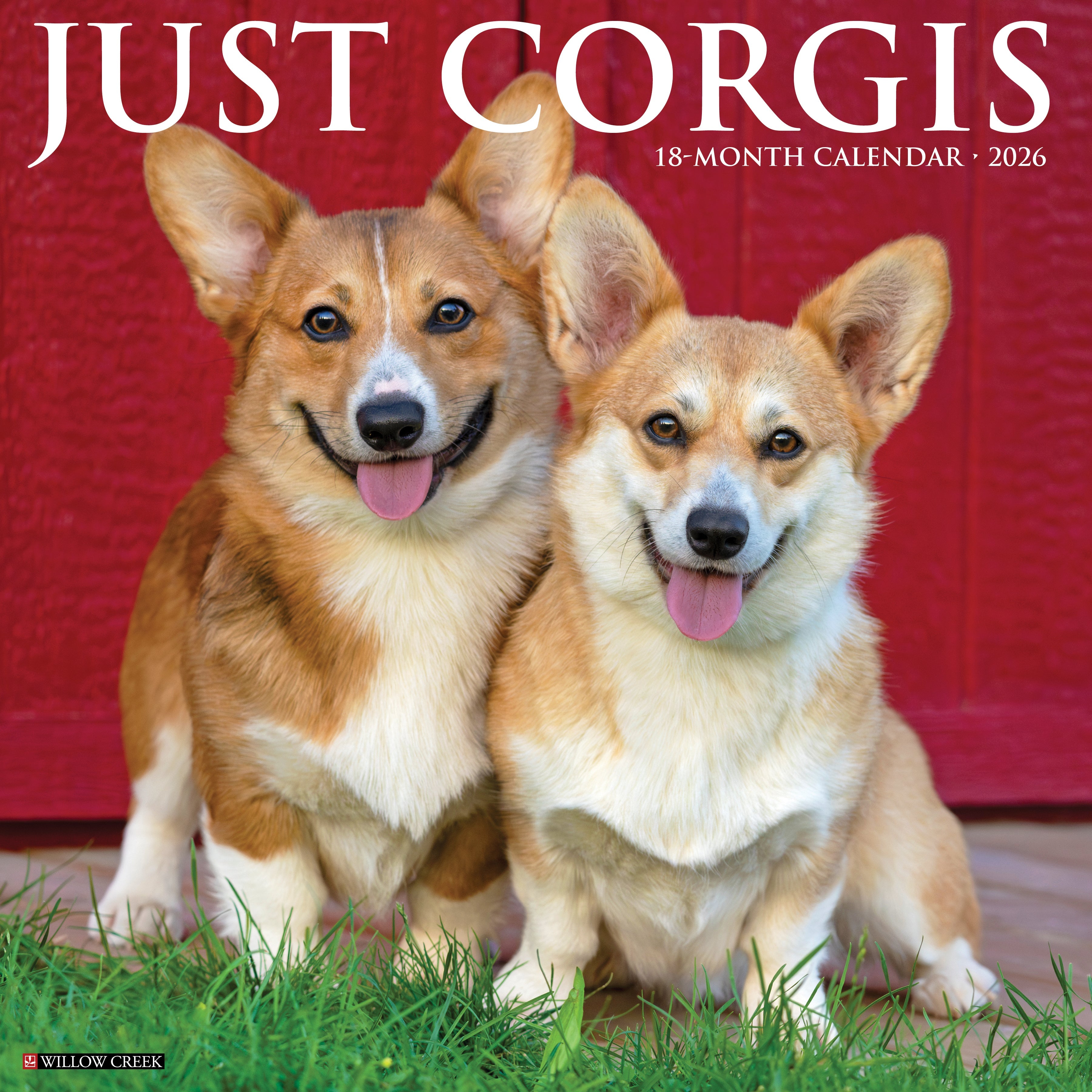 2026 Corgis - Square Wall Calendar