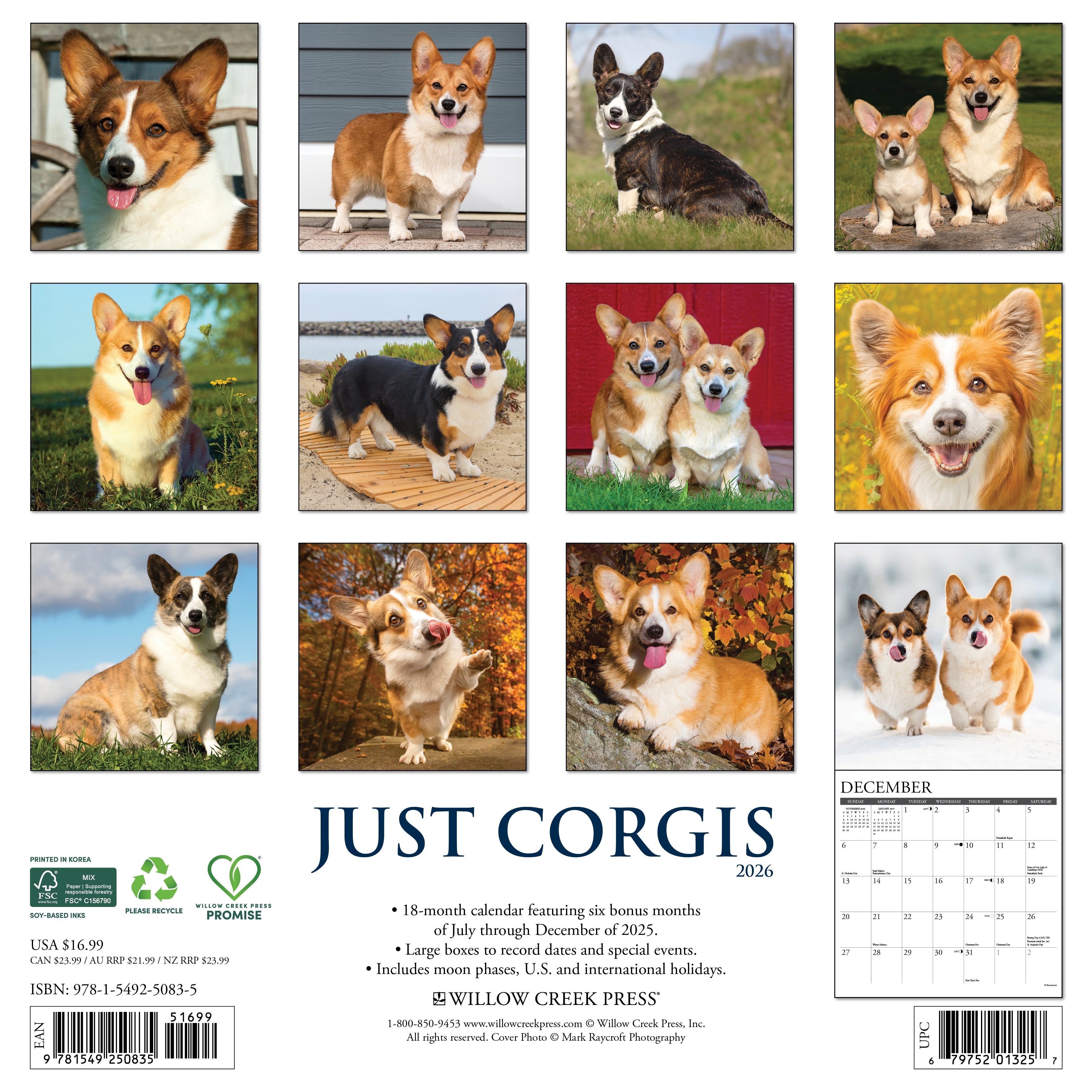 2026 Corgis - Square Wall Calendar