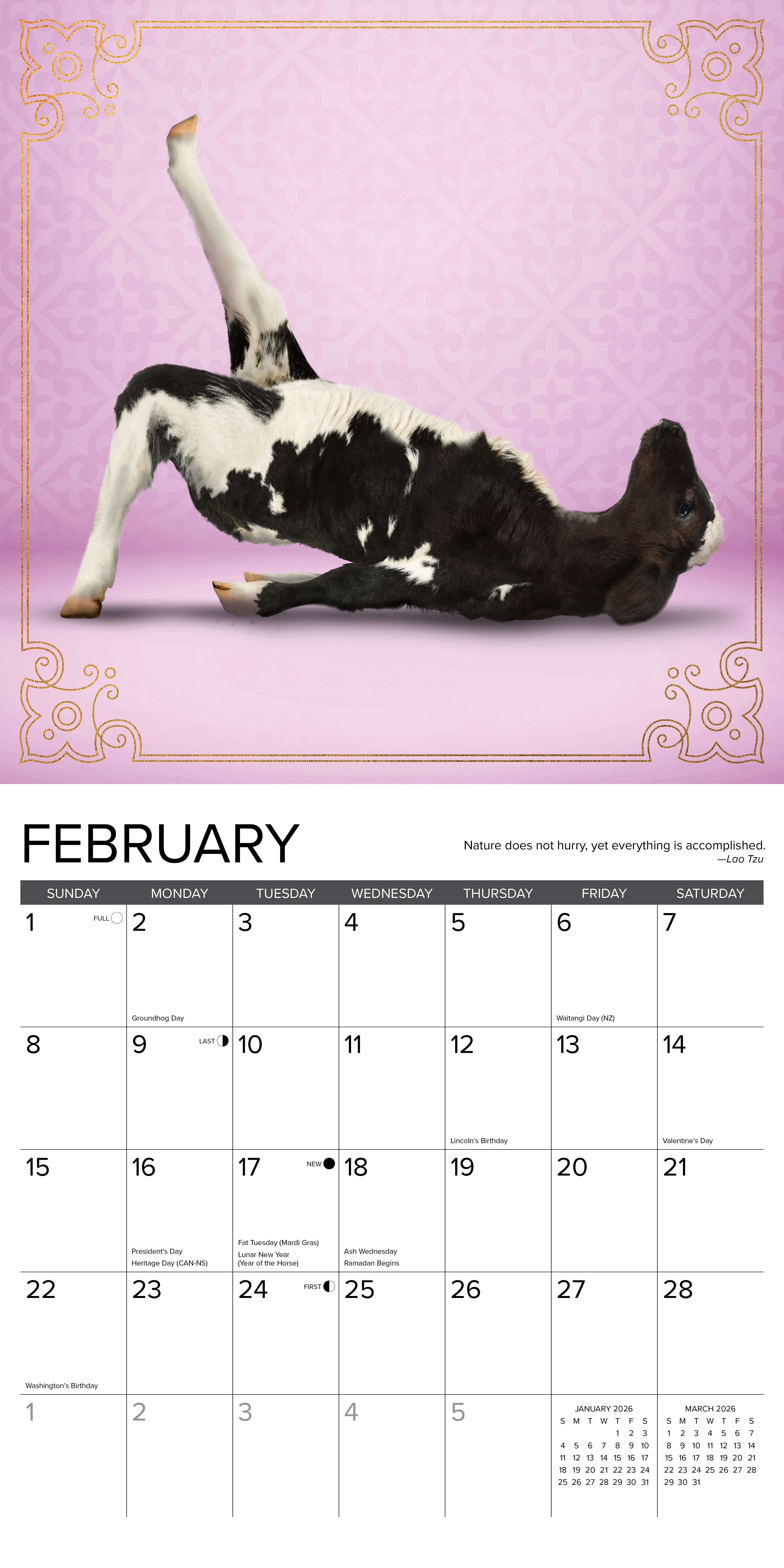 2026 Cow Yoga - Square Wall Calendar