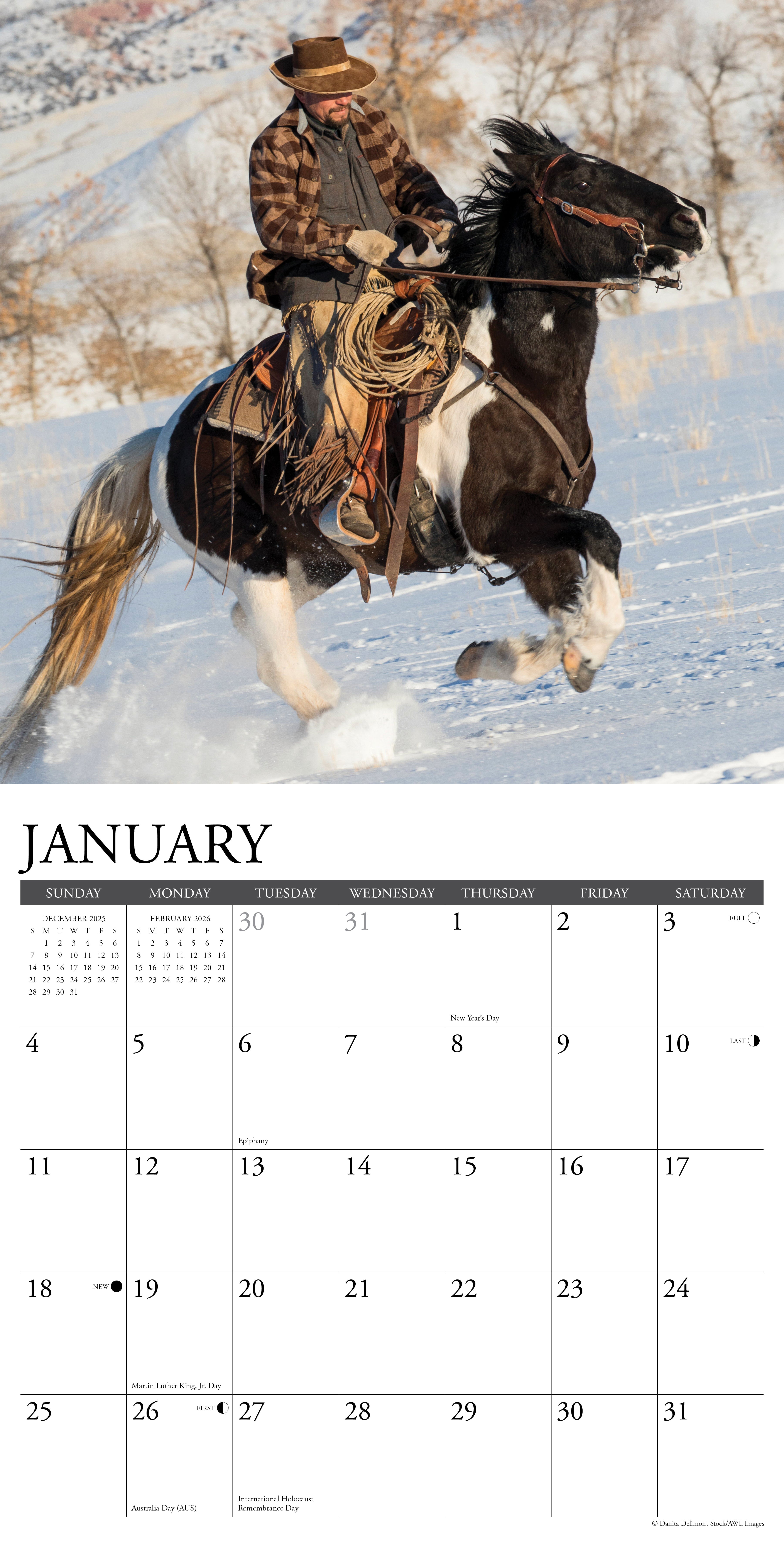 2026 Cowboys - Square Wall Calendar