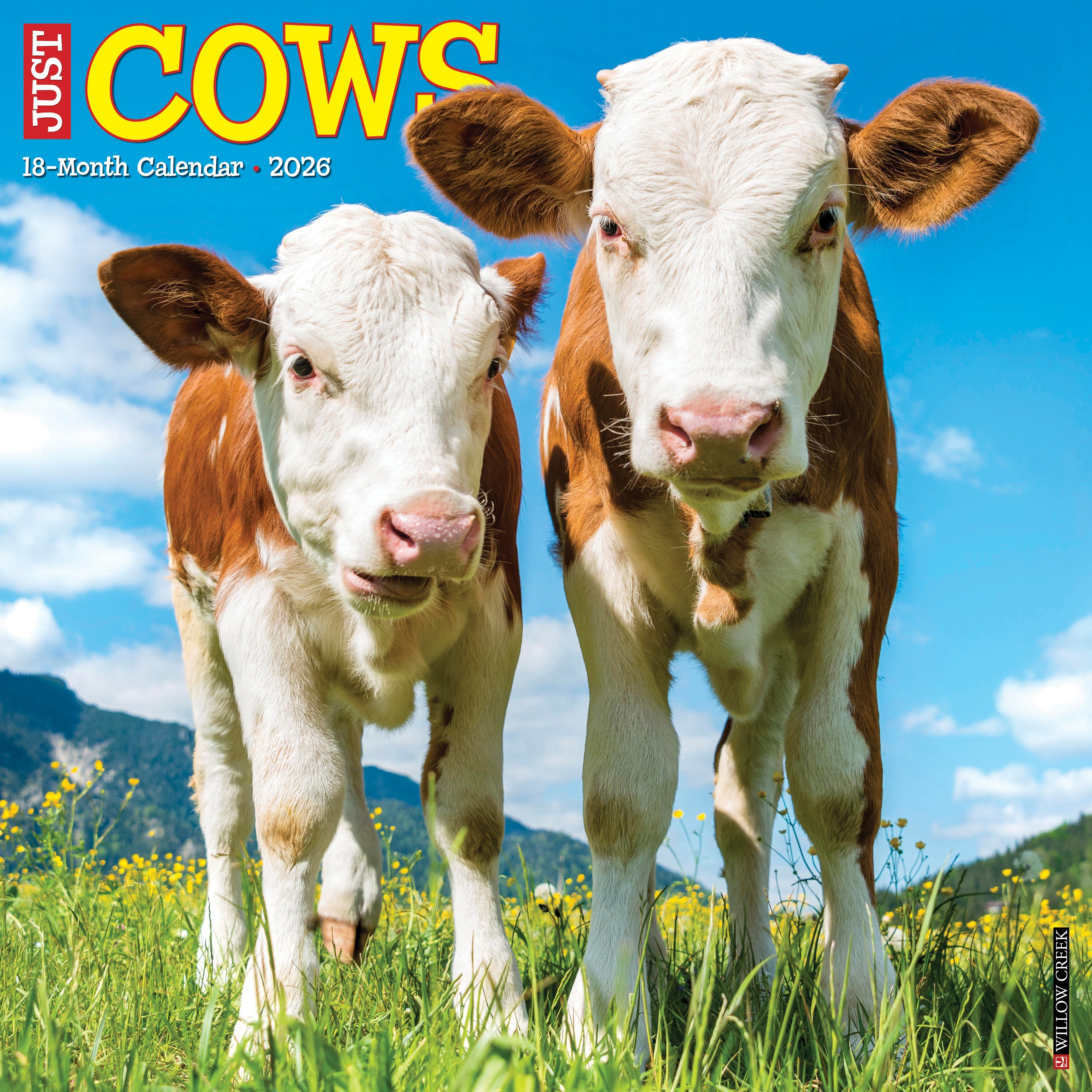 2026 Cows - Square Wall Calendar
