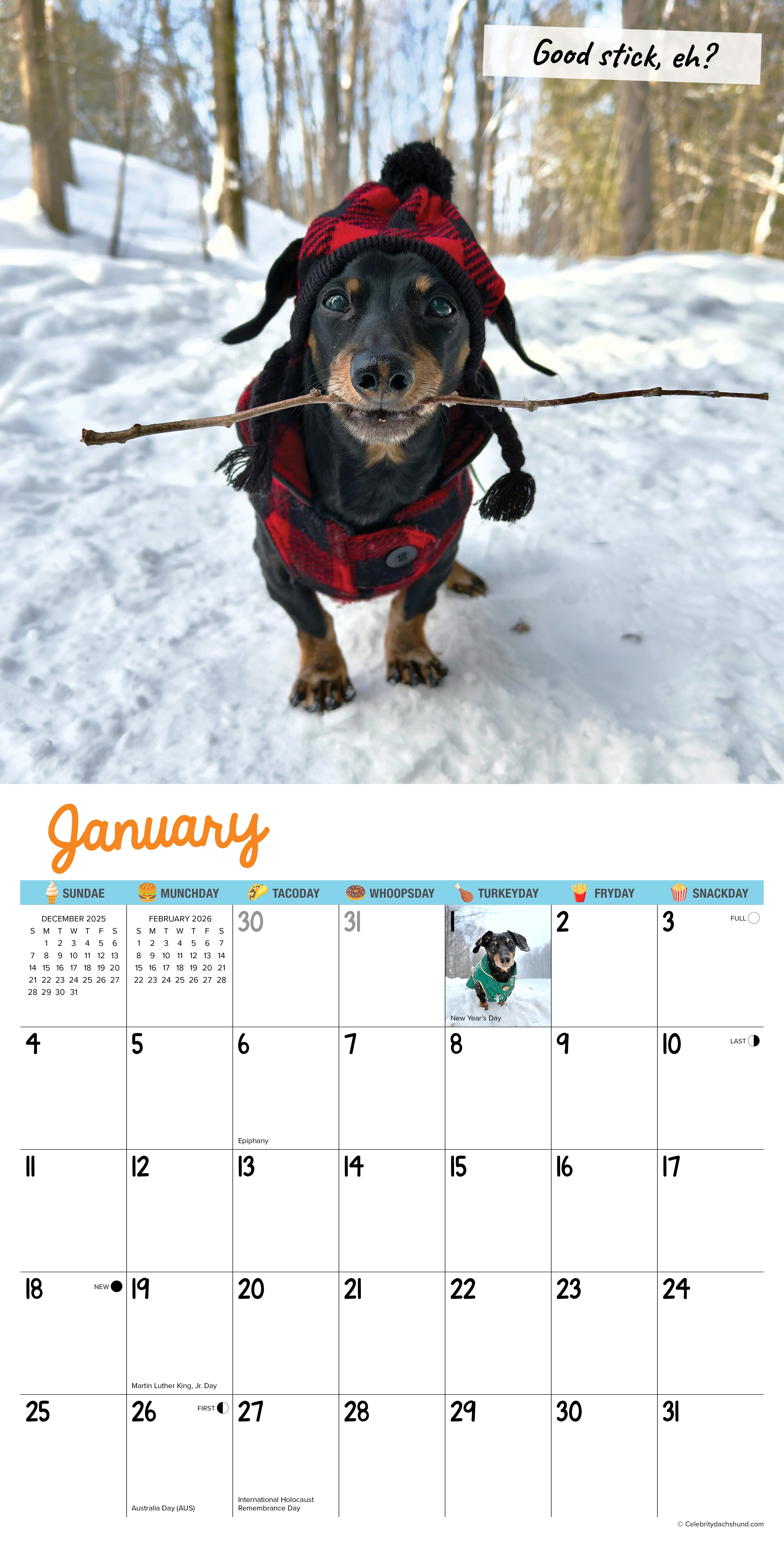 2026 Crusoe the Celebrity Dachshund - Square Wall Calendar