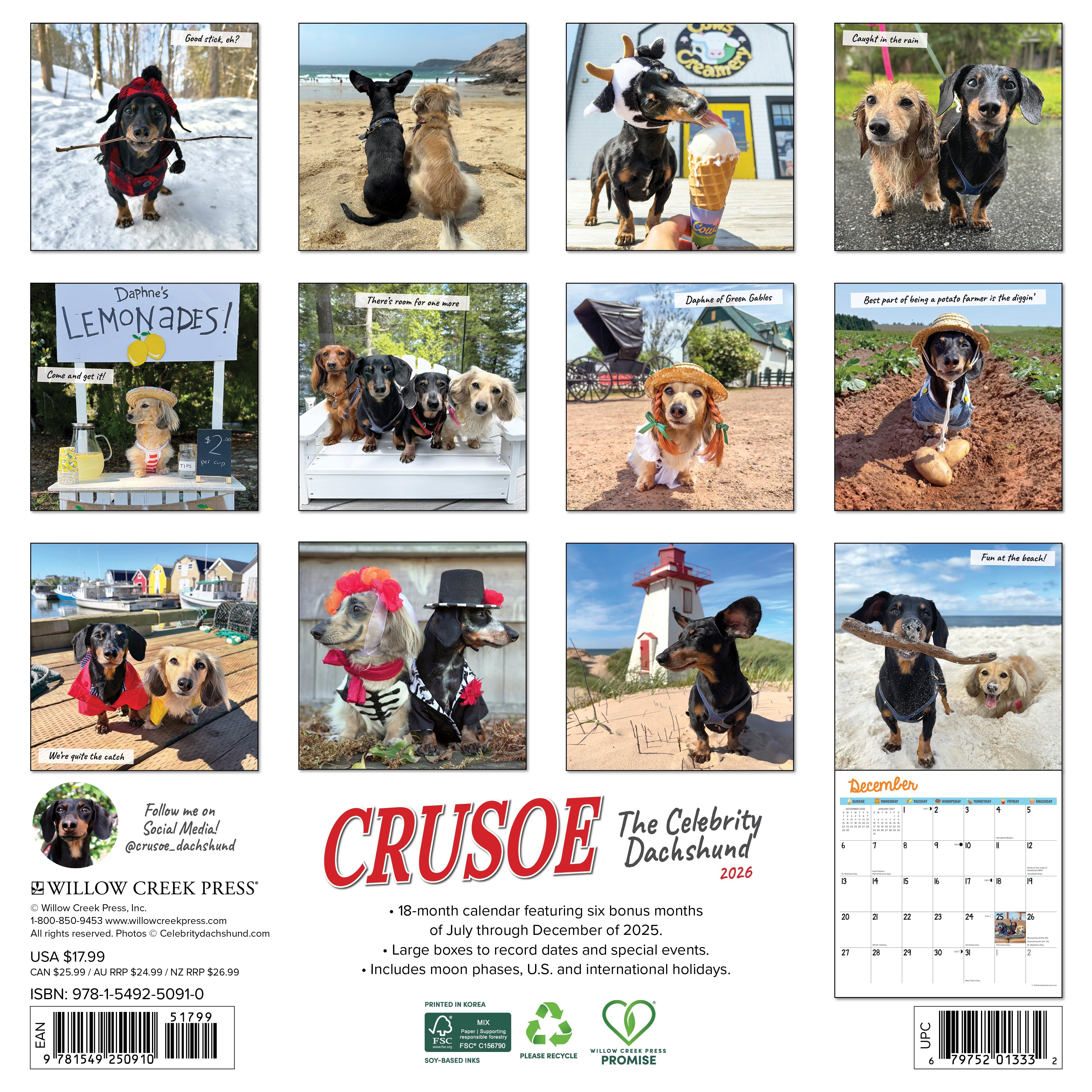 2026 Crusoe the Celebrity Dachshund - Square Wall Calendar