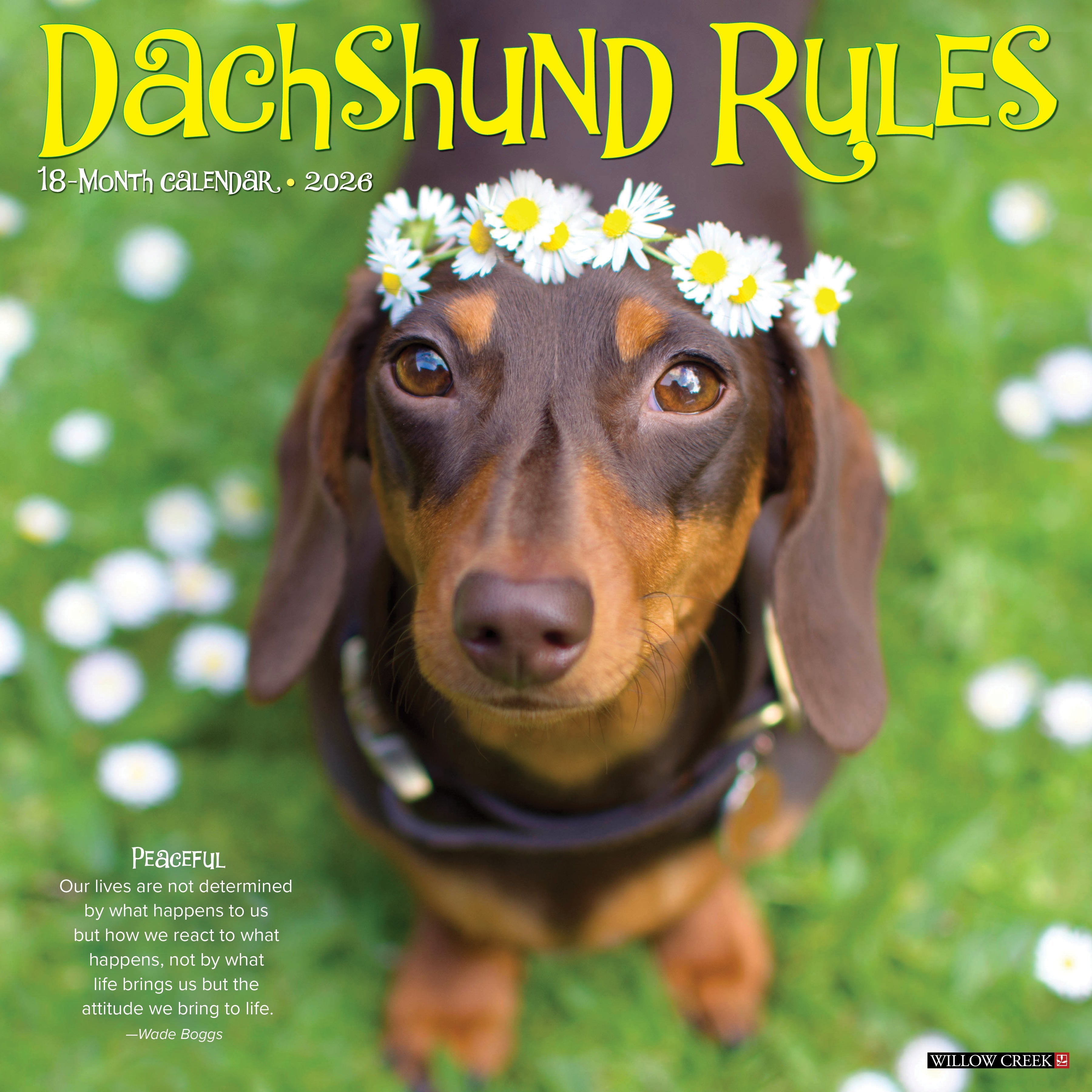 2026 Dachshund Rules - Square Wall Calendar