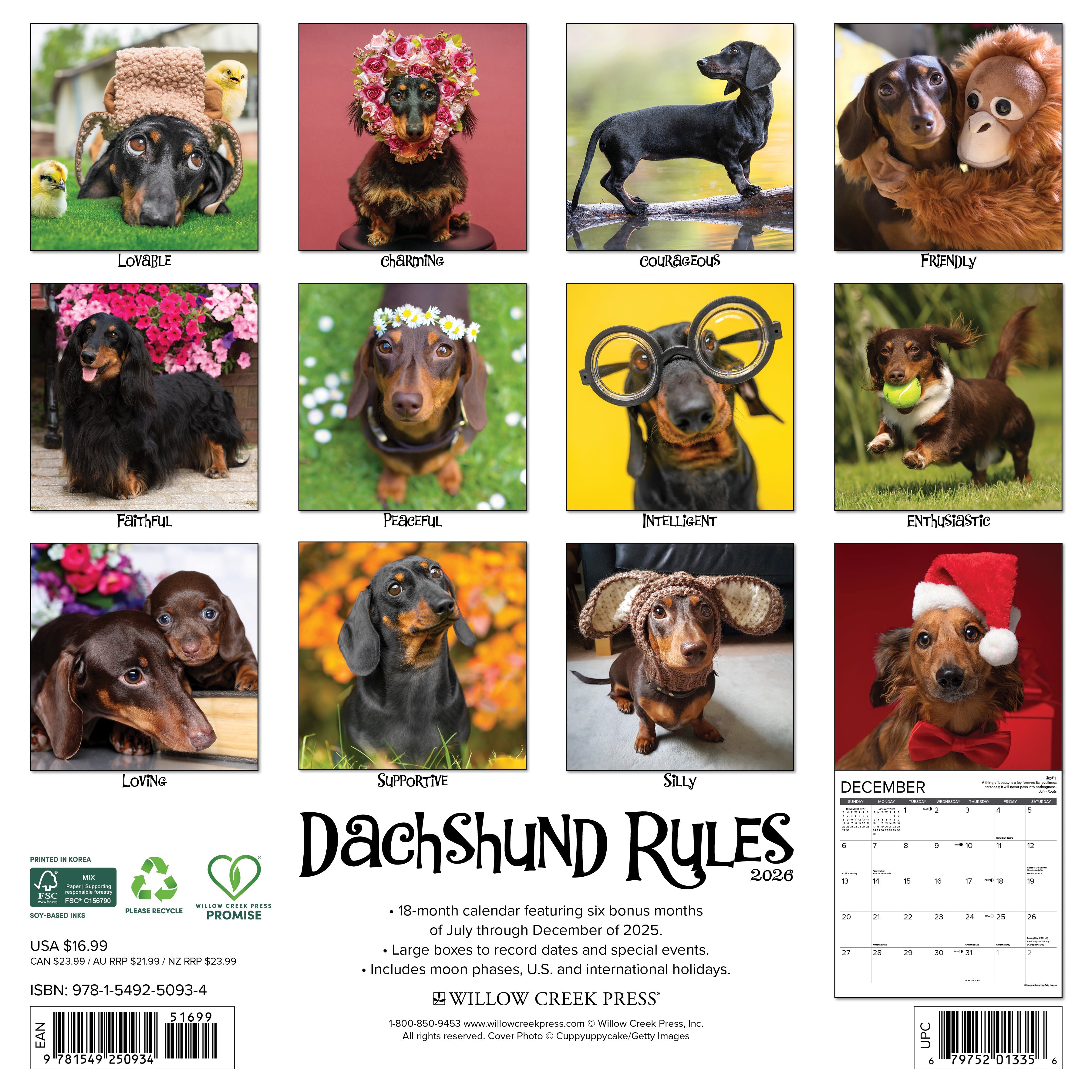 2026 Dachshund Rules - Square Wall Calendar
