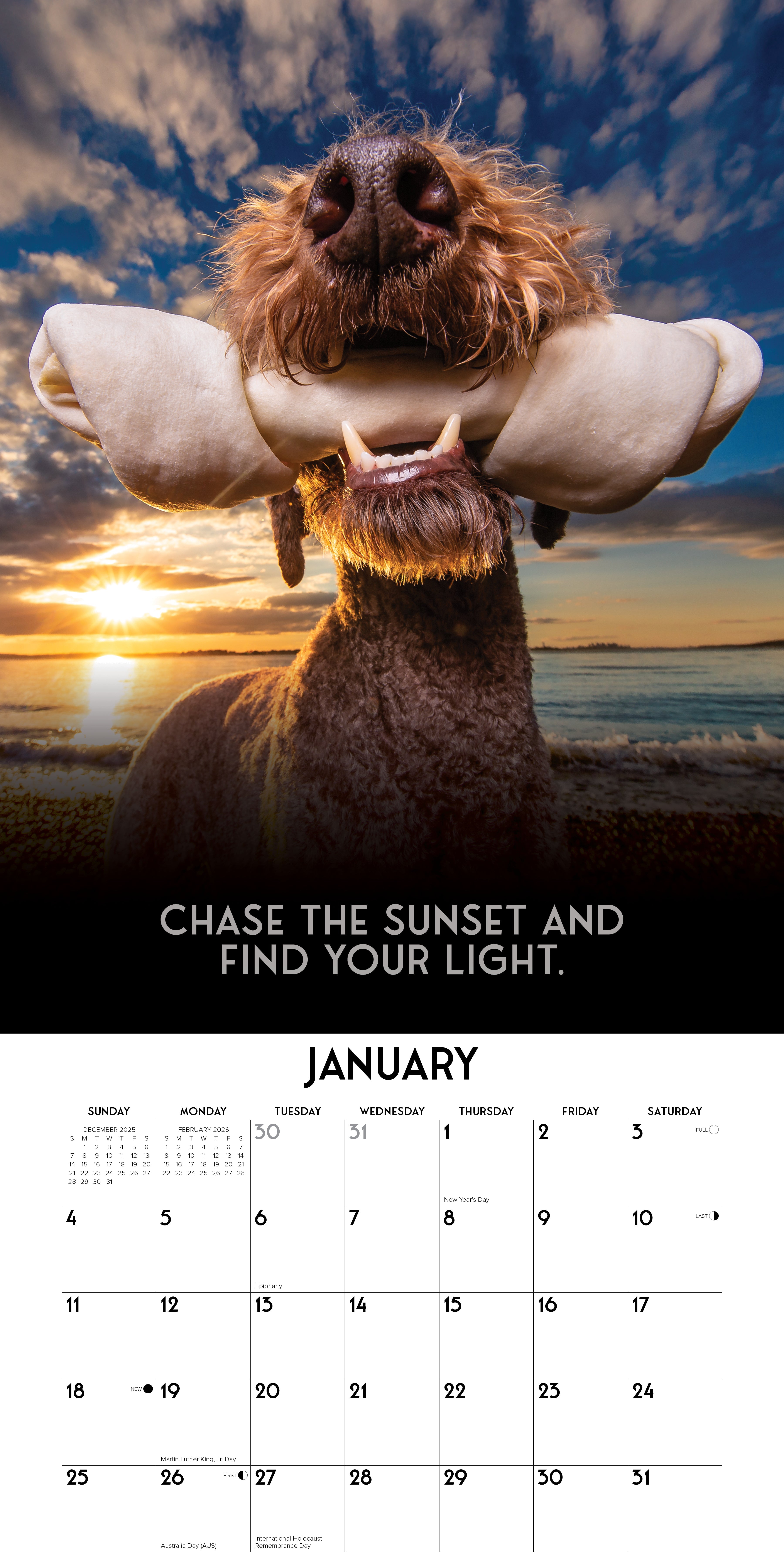 2026 Dog's Life - Square Wall Calendar