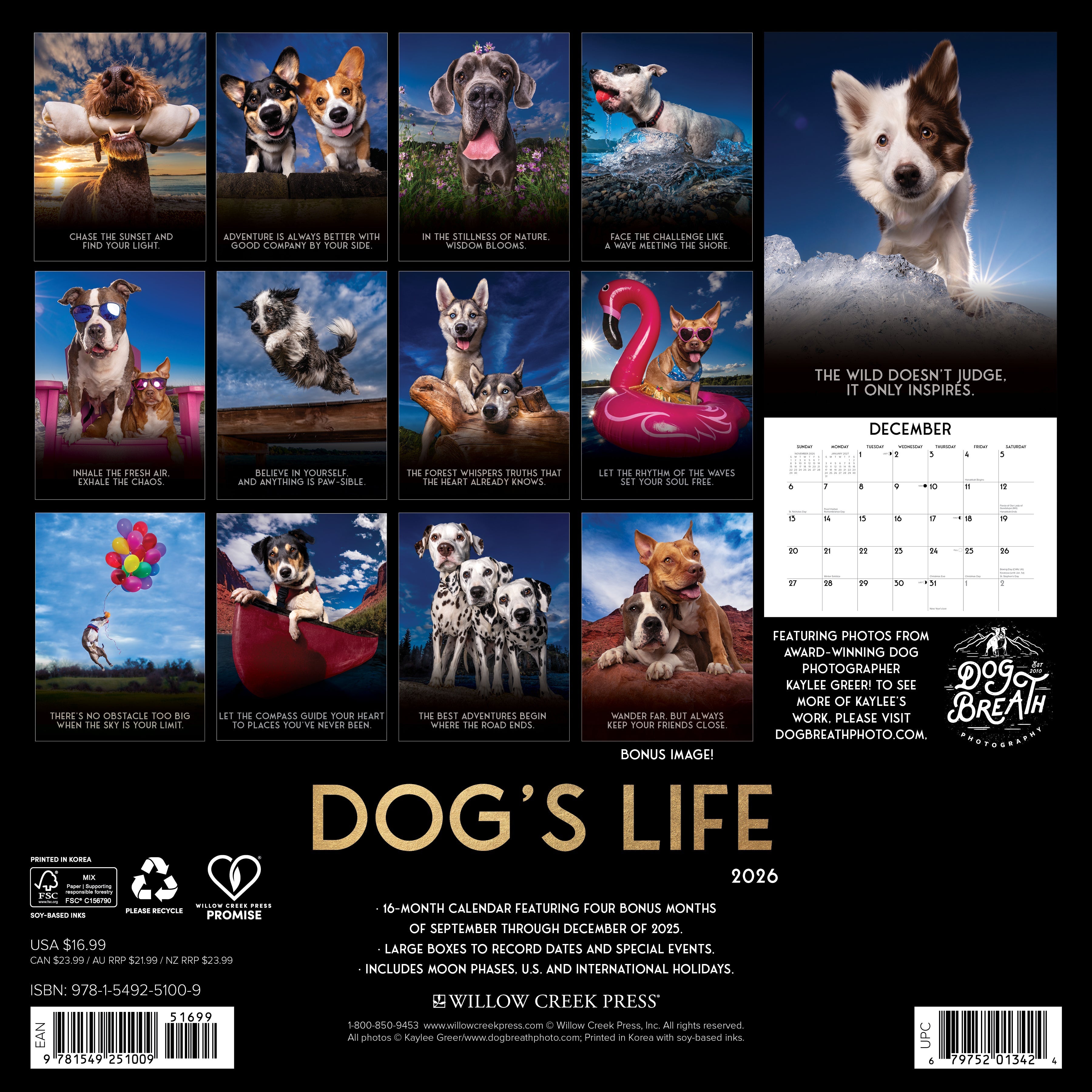 2026 Dog's Life - Square Wall Calendar
