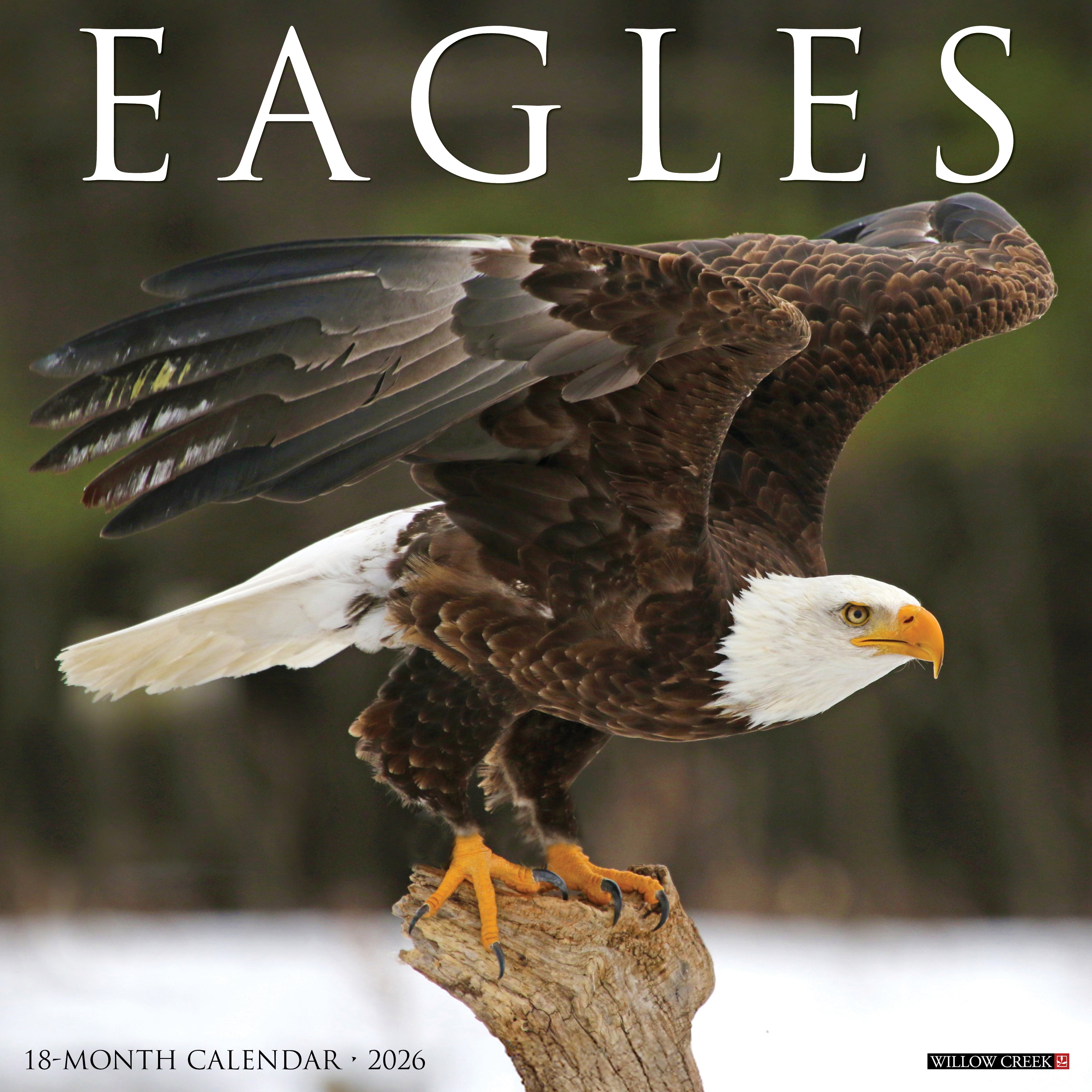 2026 Eagles - Square Wall Calendar