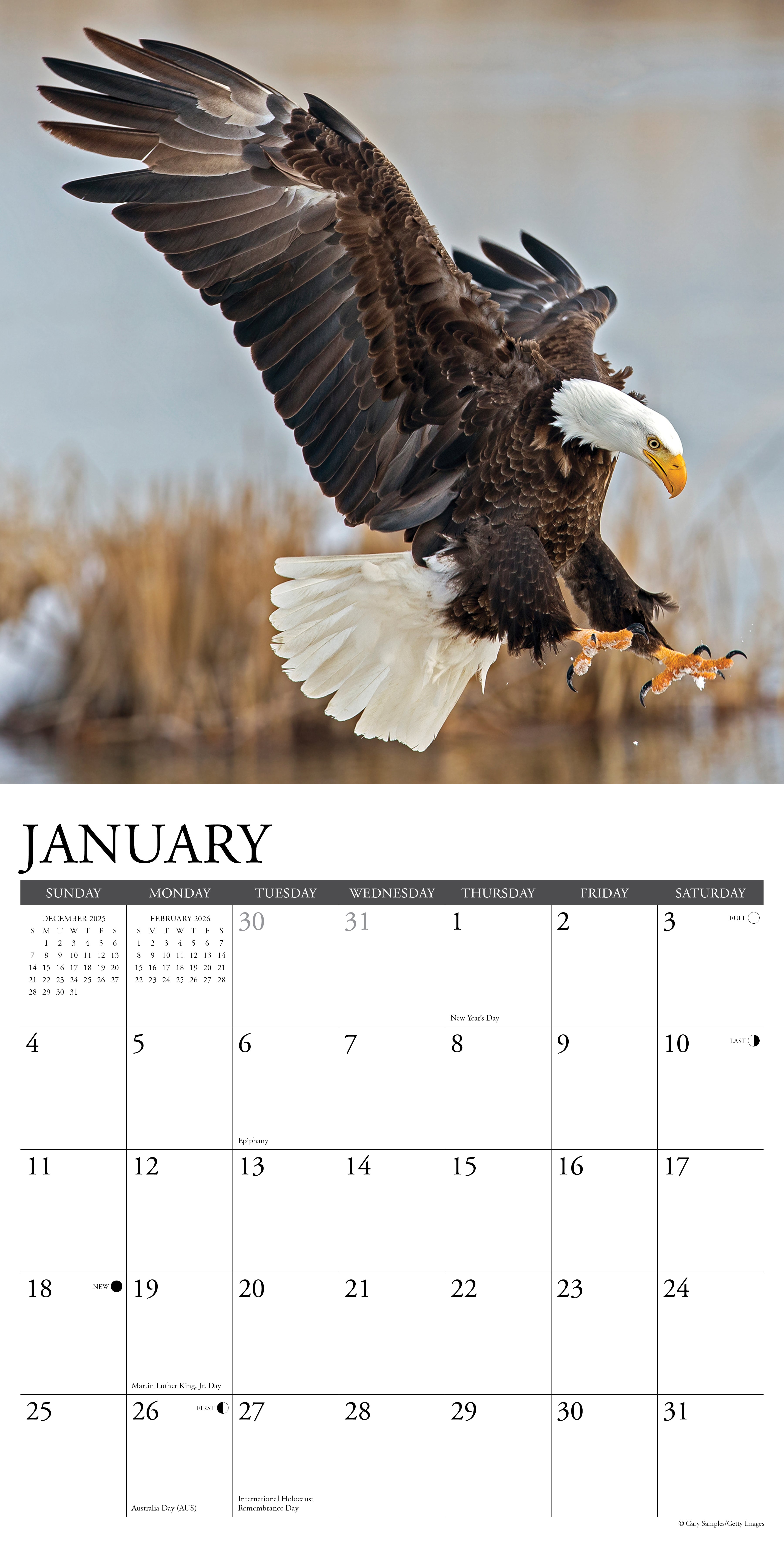 2026 Eagles - Square Wall Calendar
