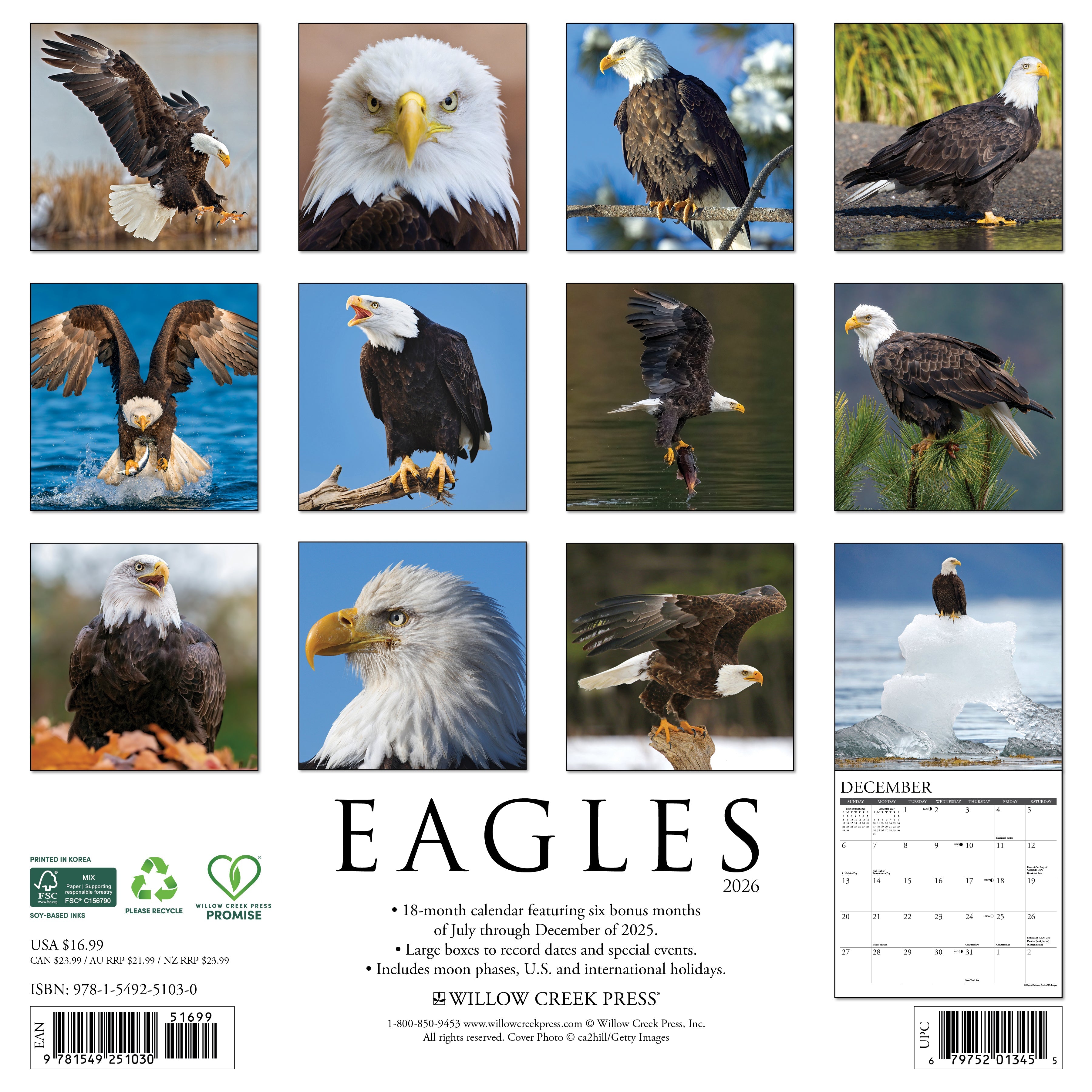 2026 Eagles - Square Wall Calendar