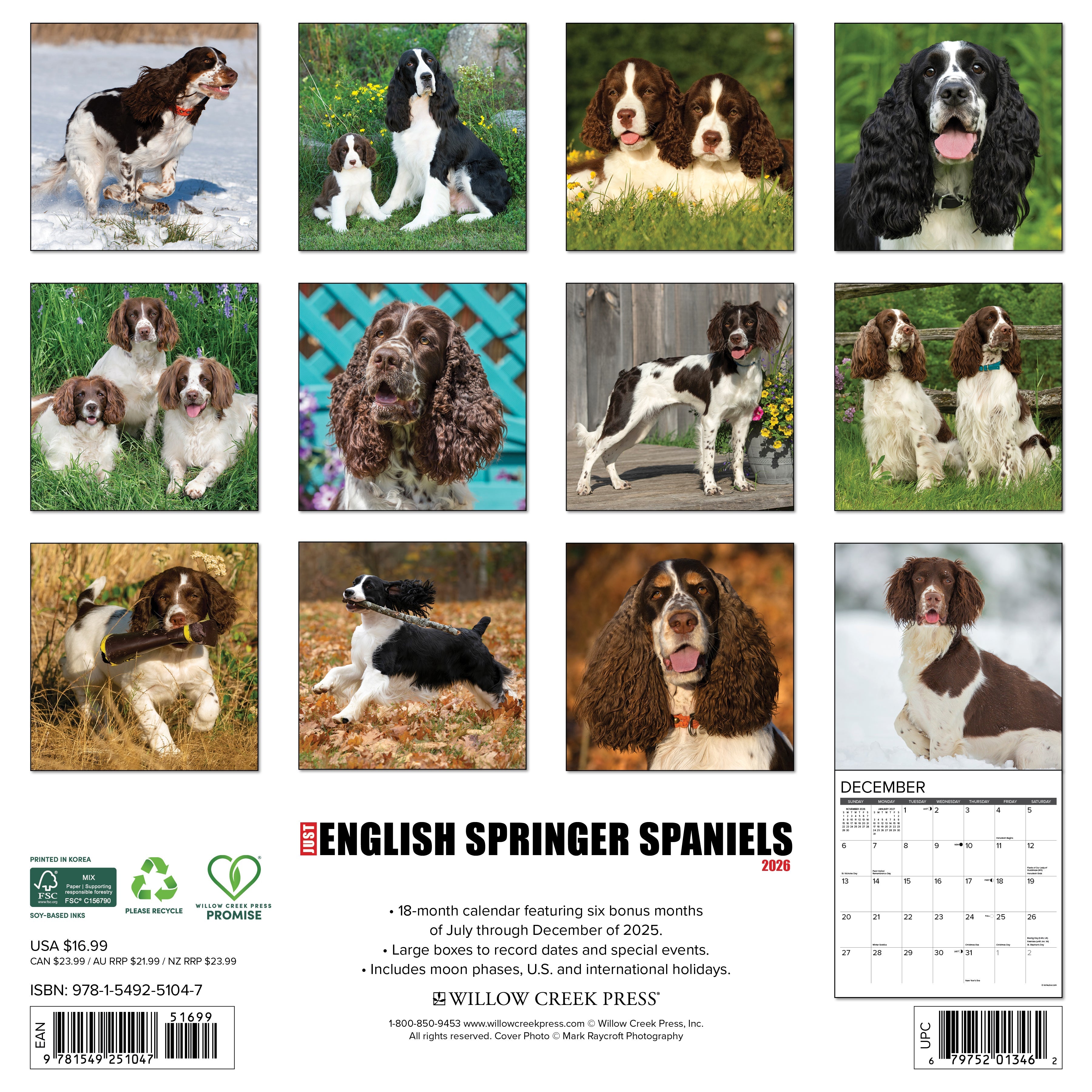 2026 English Springer Spaniels - Square Wall Calendar