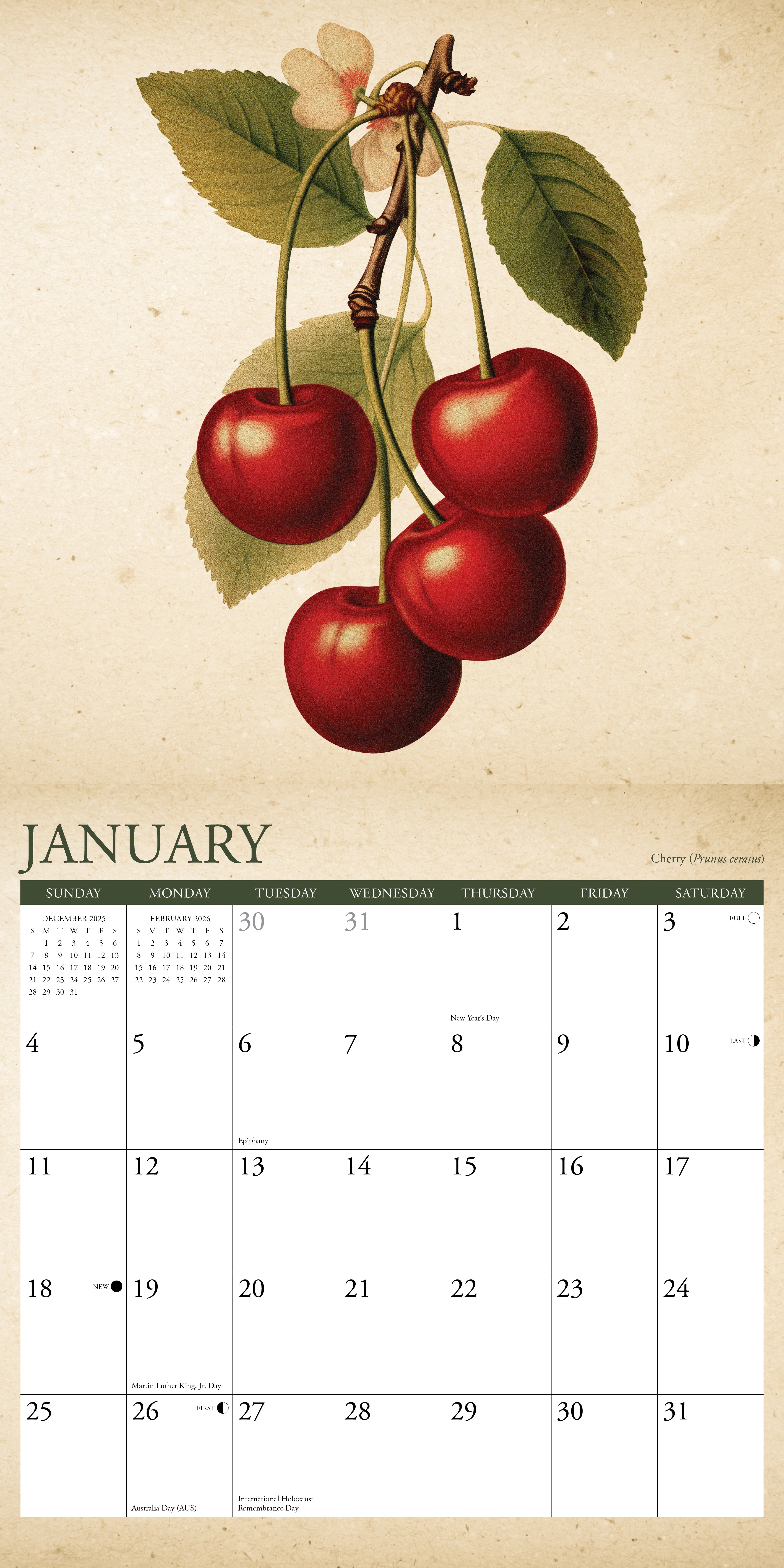 2026 The Farmer's Market - Square Wall Calendar