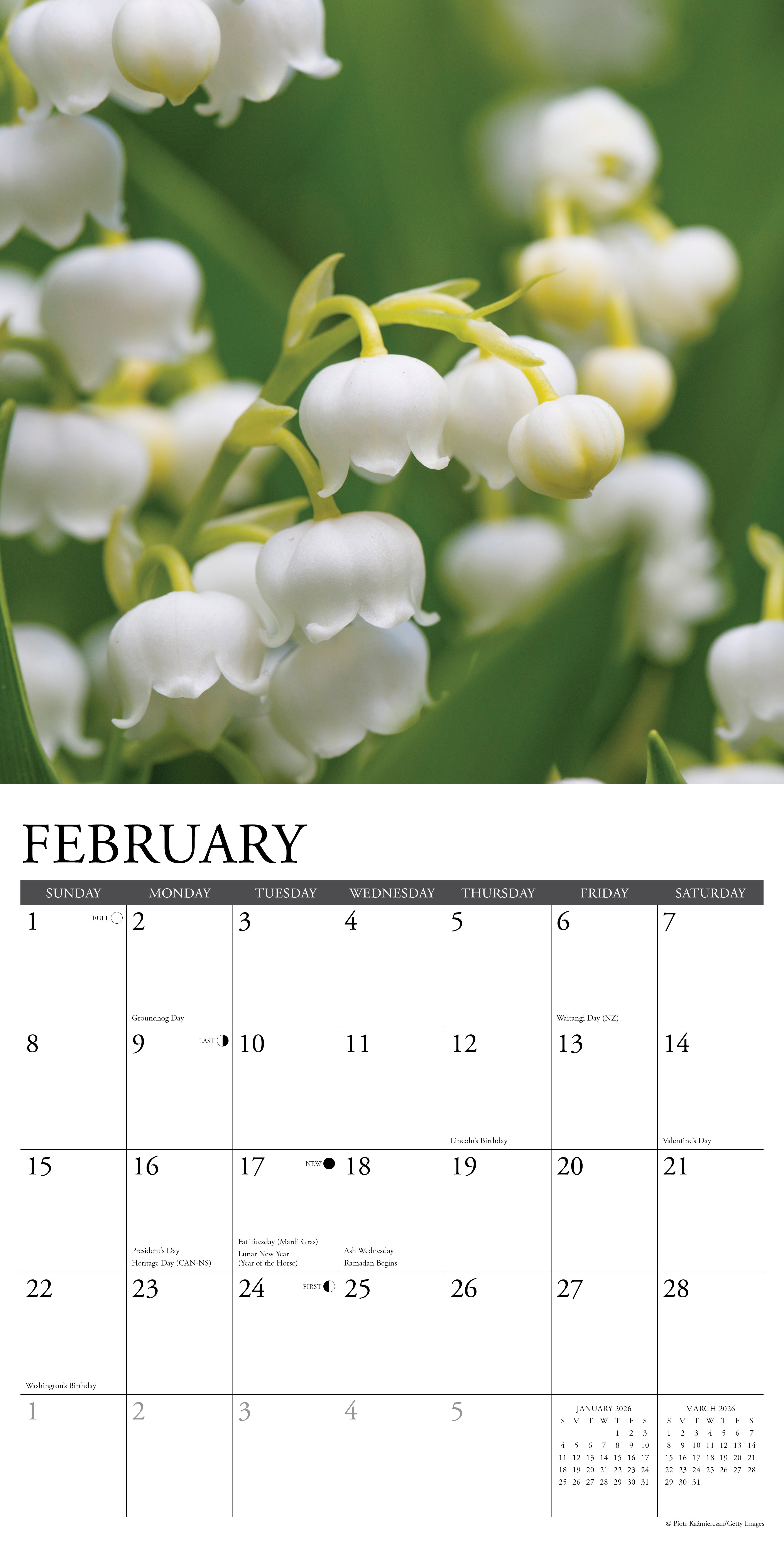 2026 Flowers - Square Wall Calendar