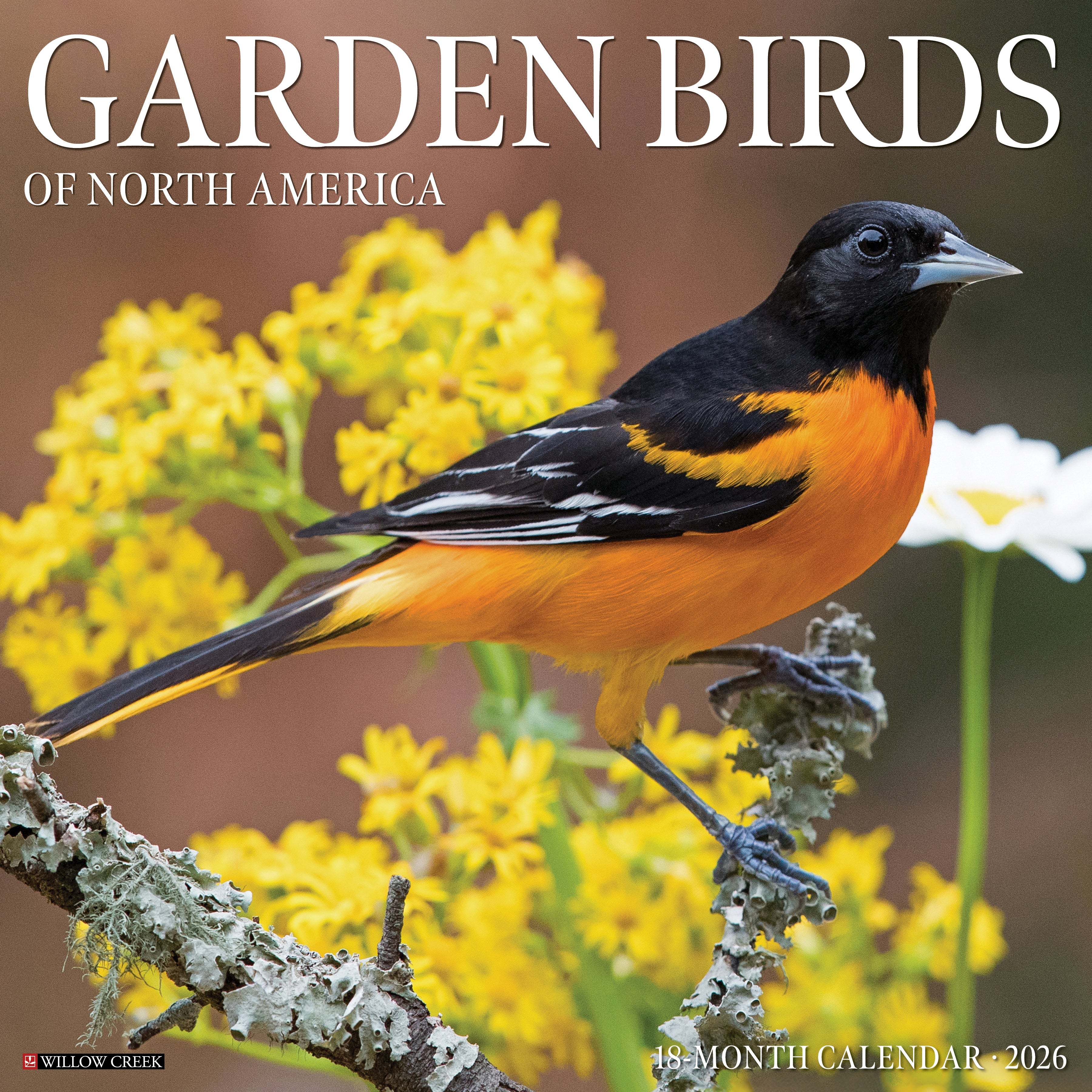 2026 Garden Birds - Square Wall Calendar