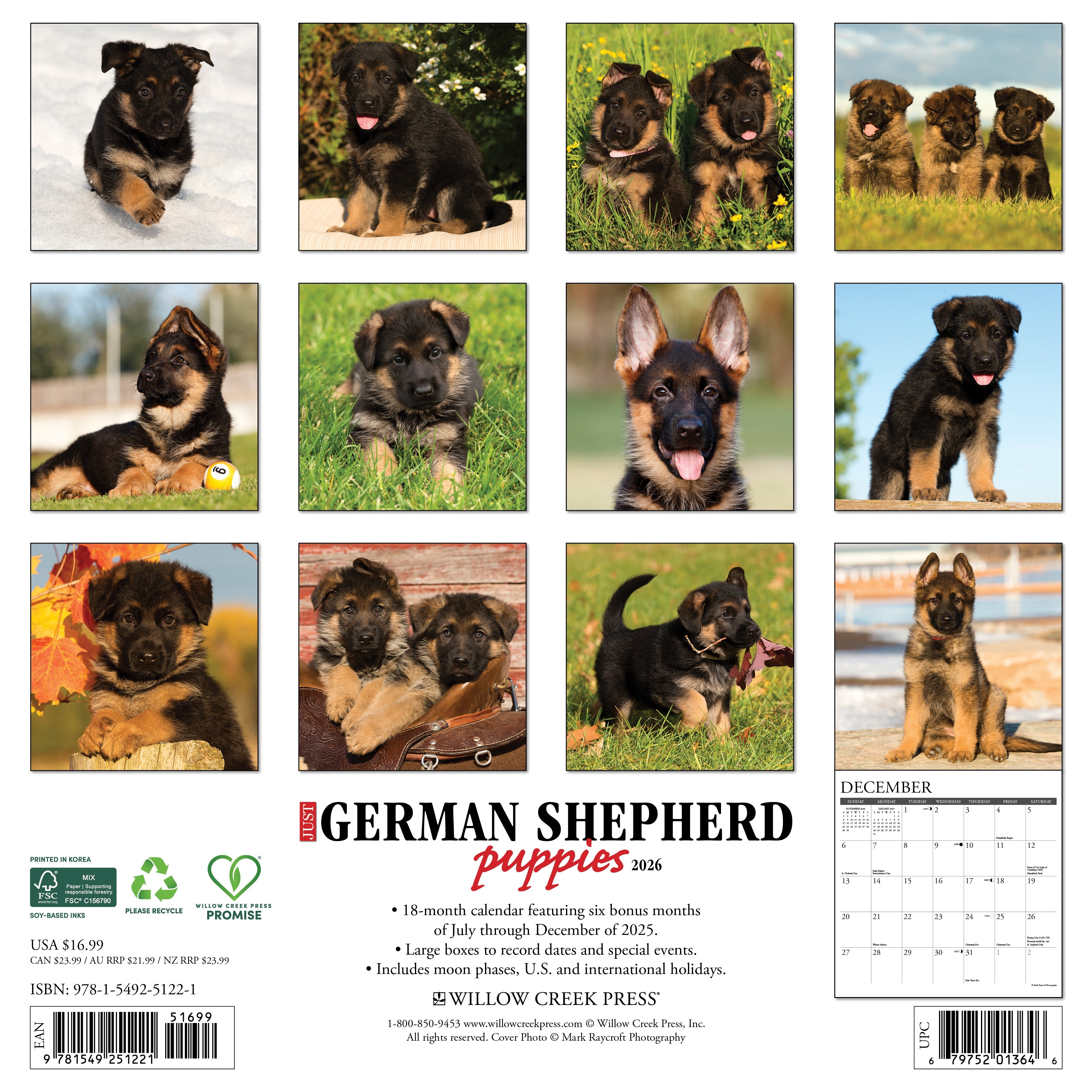 2026 German Shepherd Puppies - Square Wall Calendar