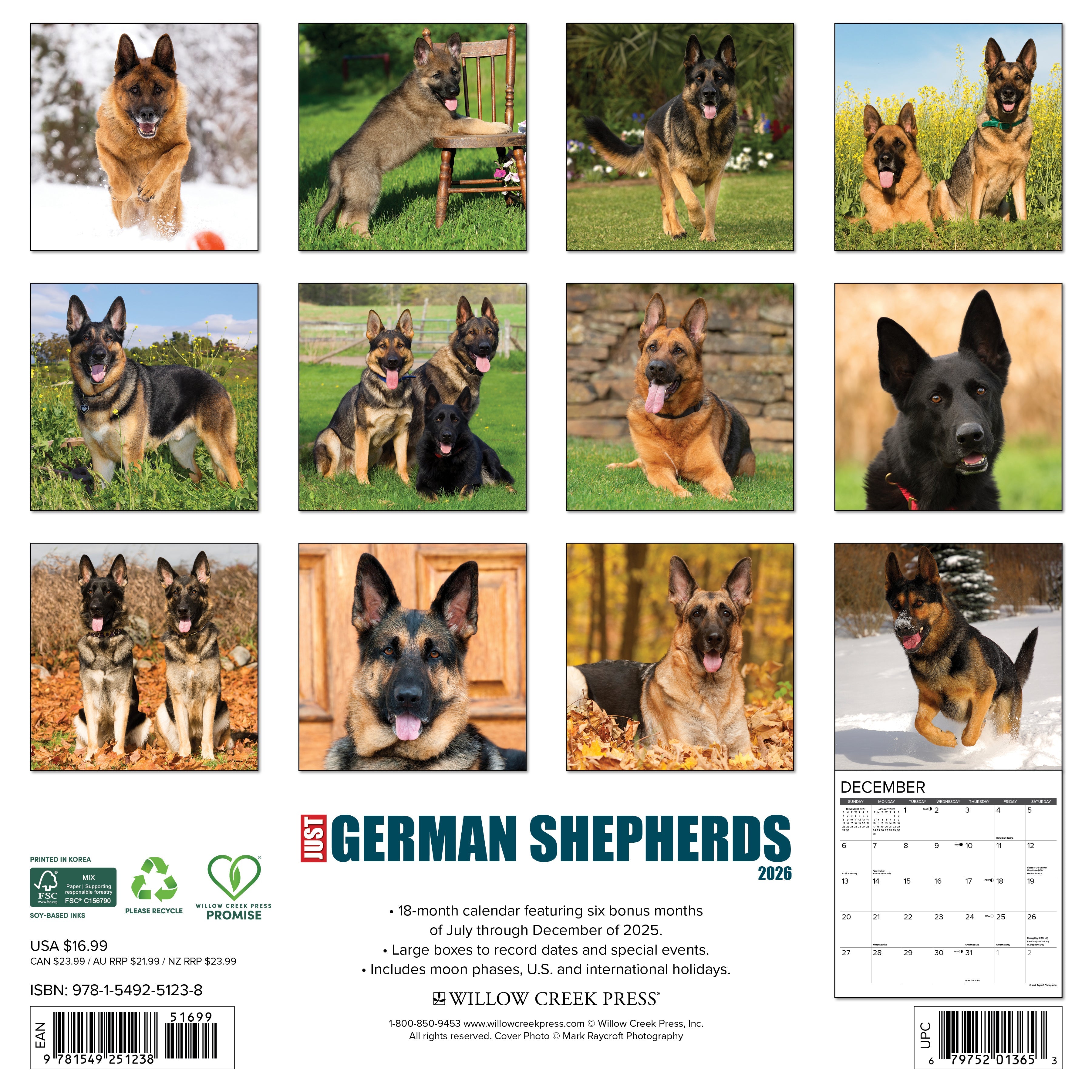 2026 German Shepherds - Square Wall Calendar