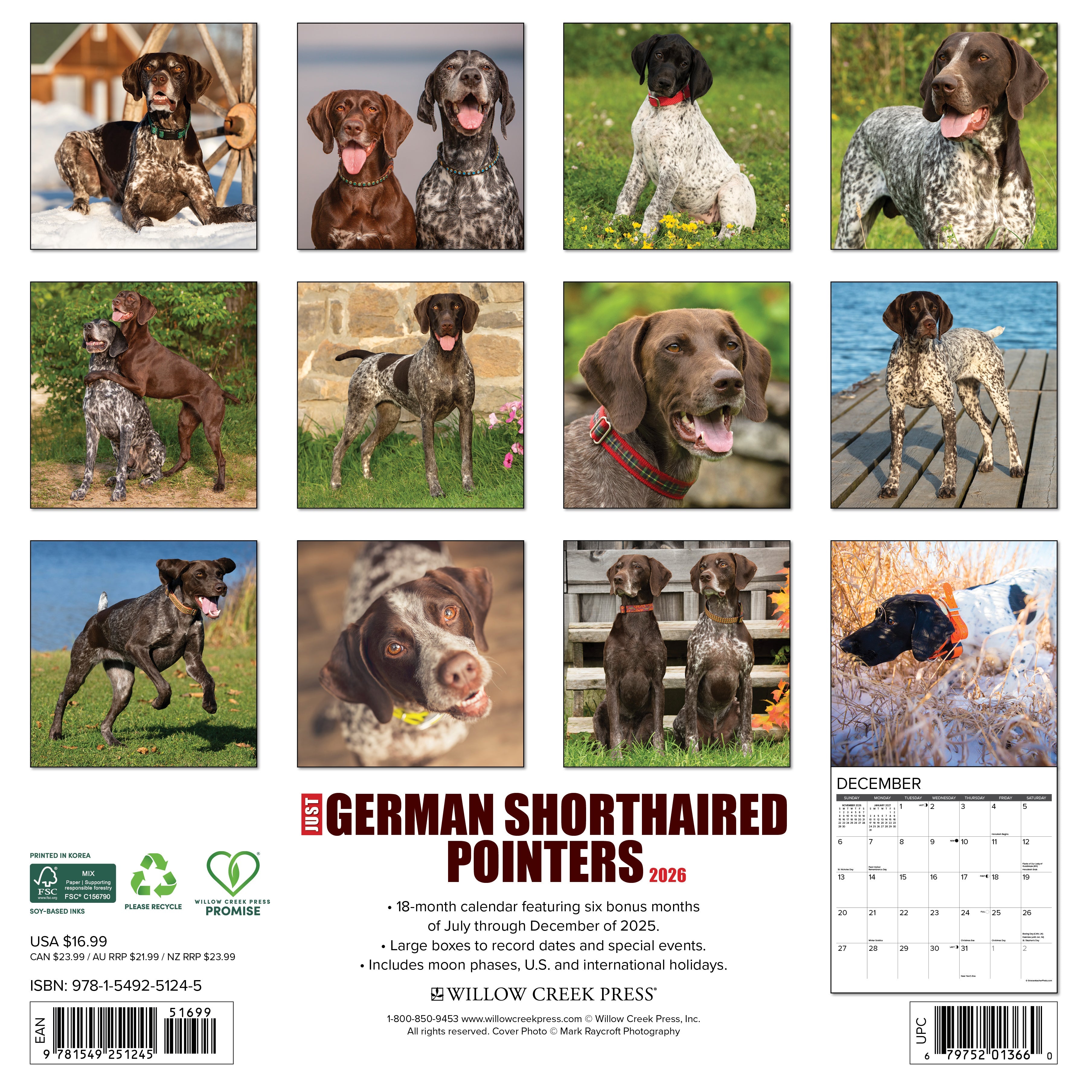 2026 German Shorthaired Pointers - Square Wall Calendar