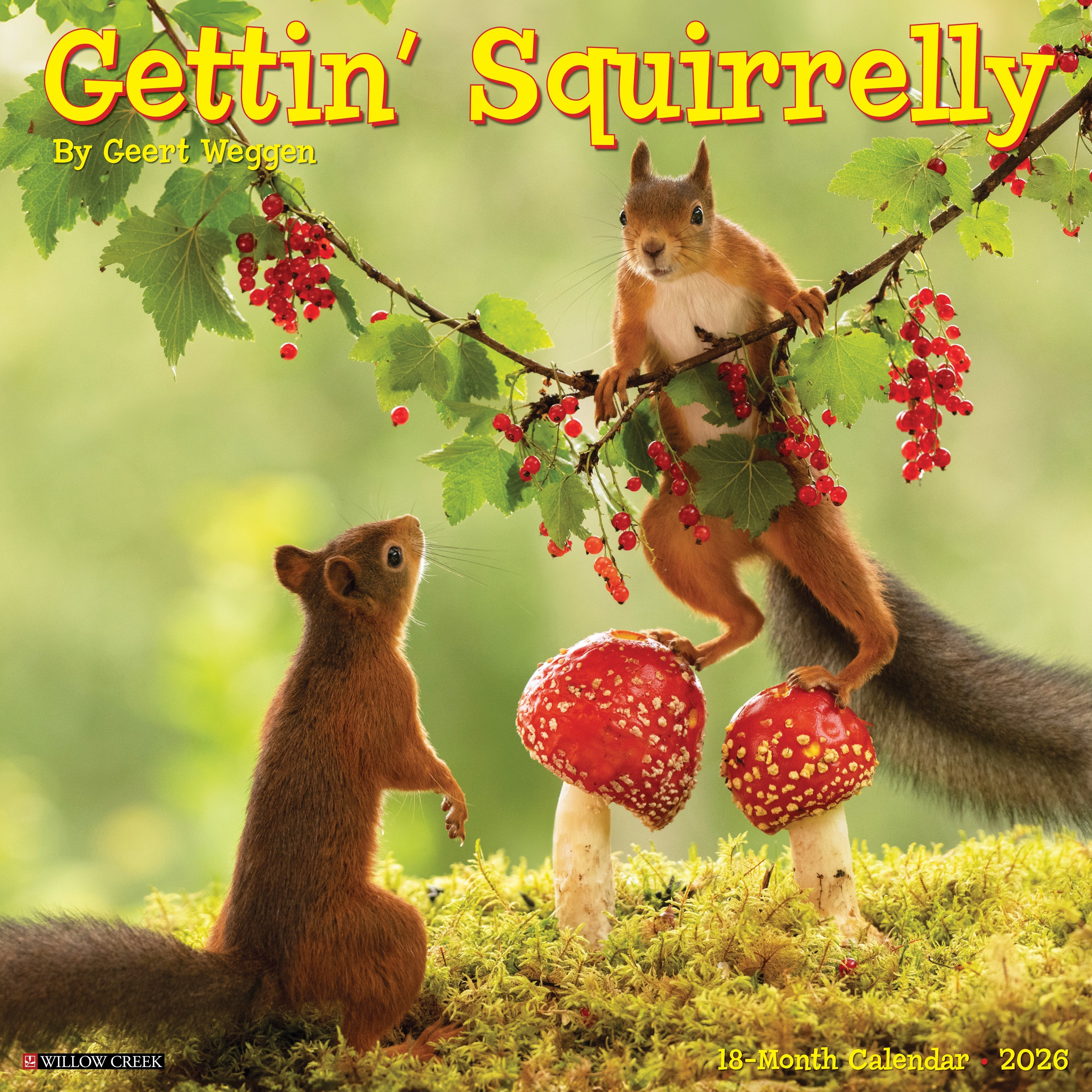 2026 Gettin' Squirrelly - Square Wall Calendar