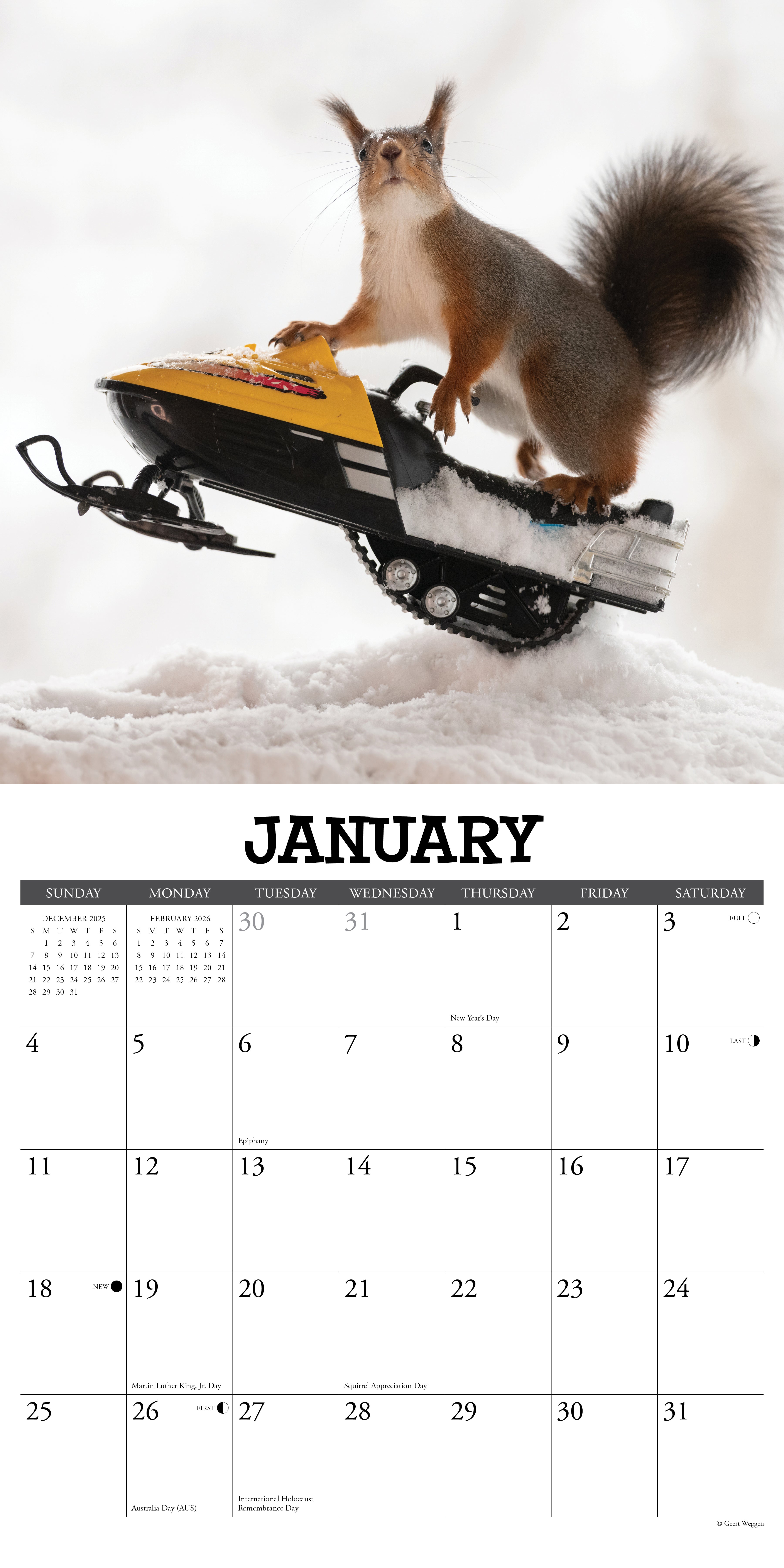 2026 Gettin' Squirrelly - Square Wall Calendar