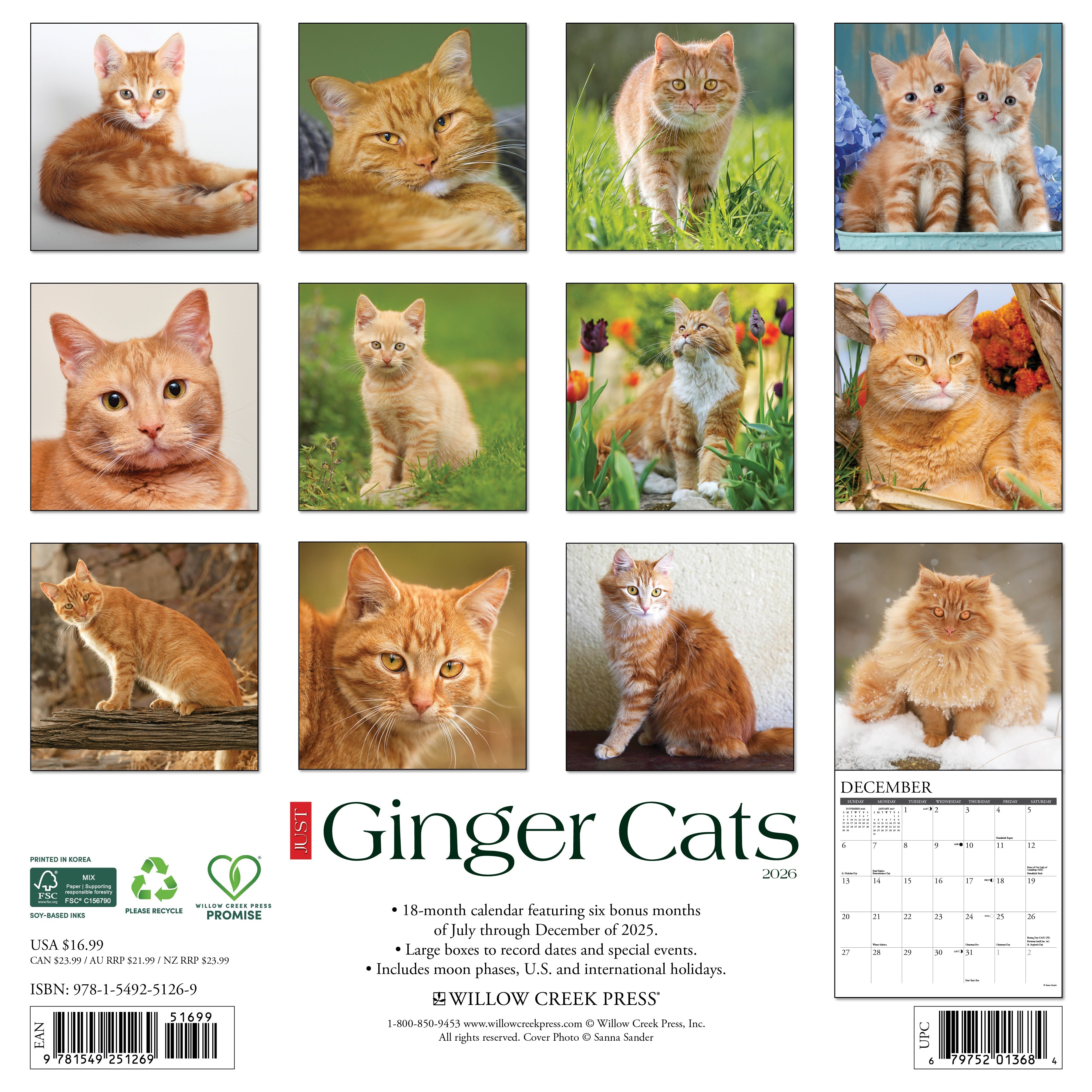 2026 Ginger Cats - Square Wall Calendar