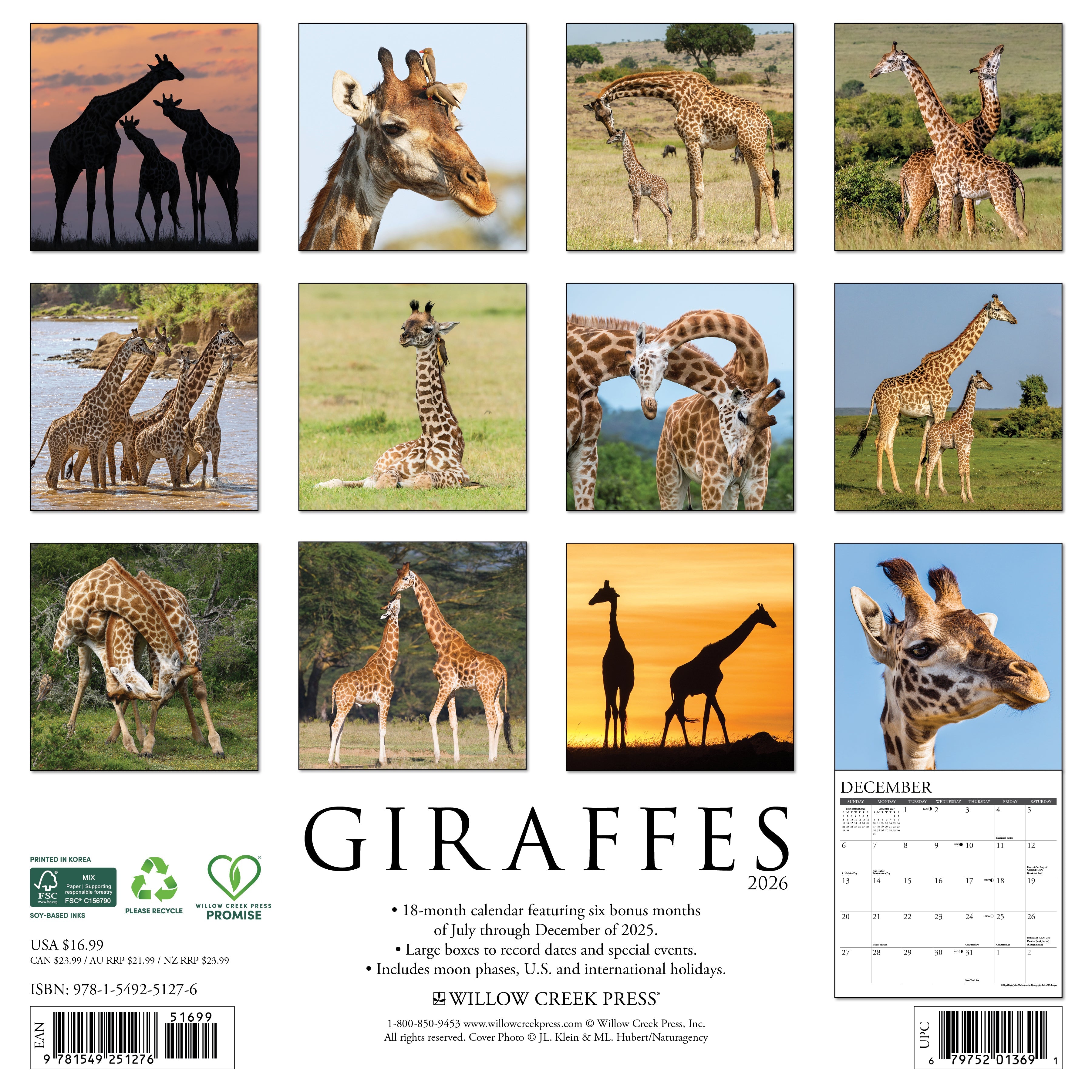 2026 Giraffes - Square Wall Calendar