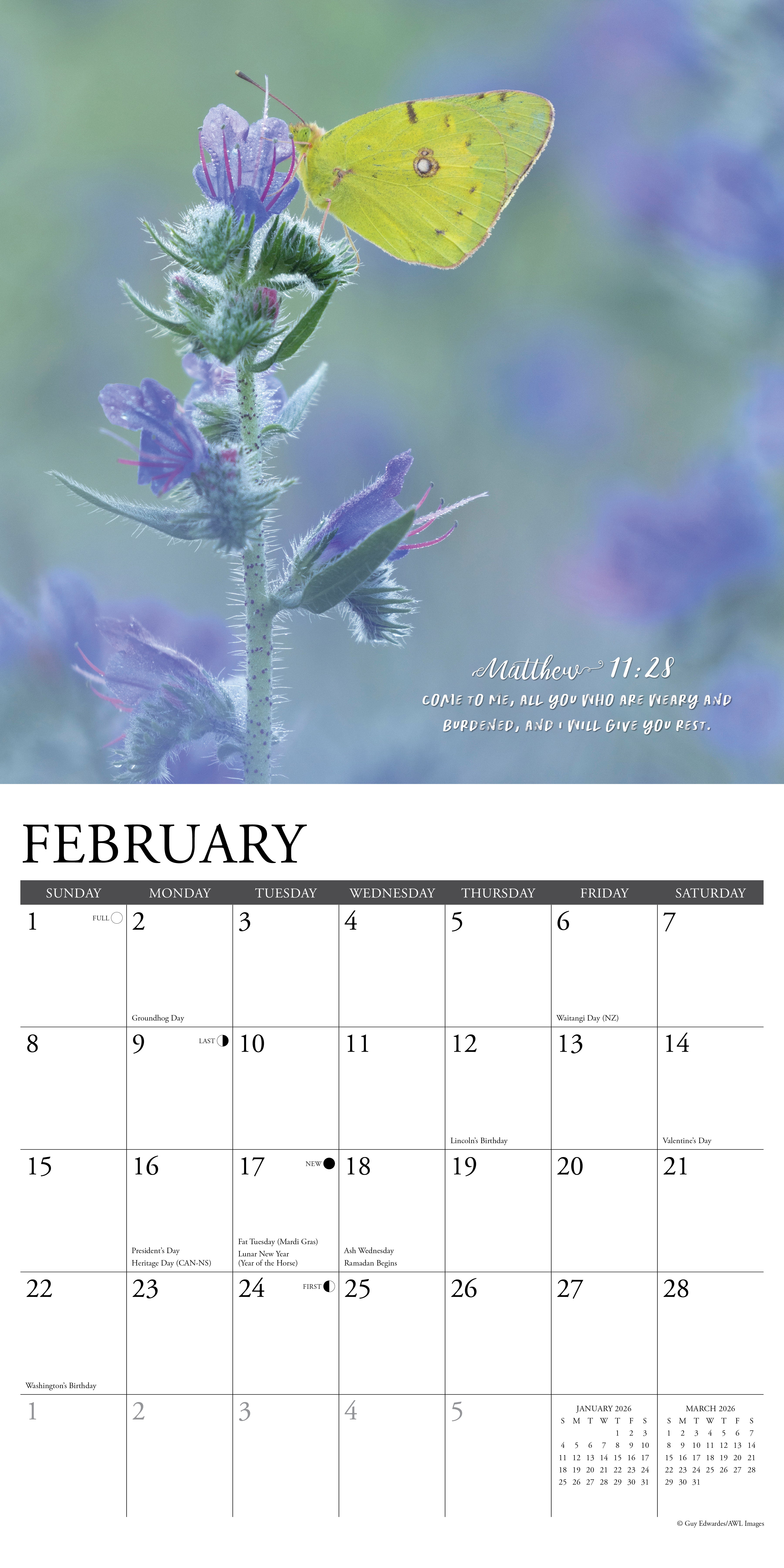 2026 God's Palette - Square Wall Calendar