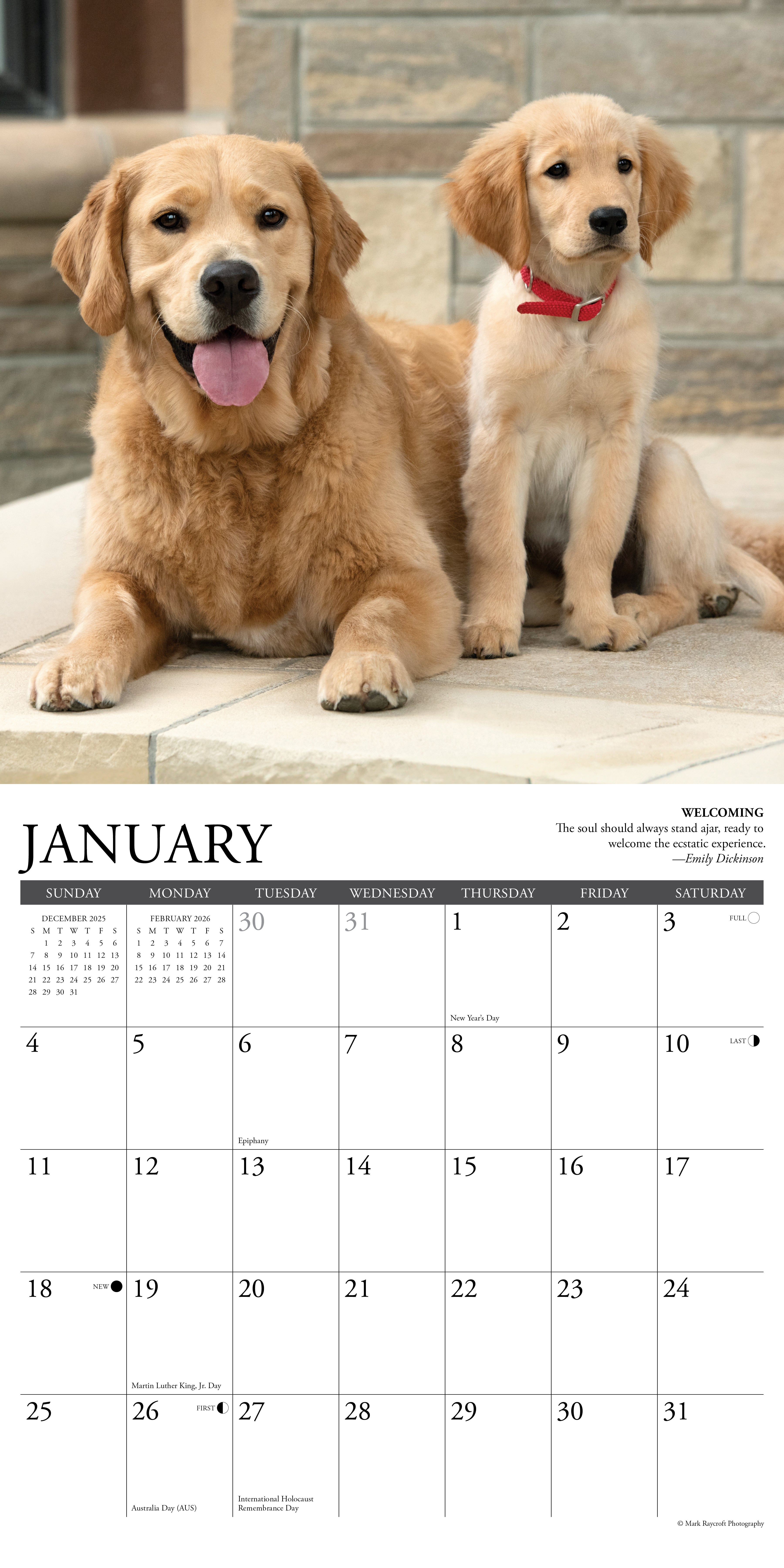 2026 Golden Rules - Square Wall Calendar